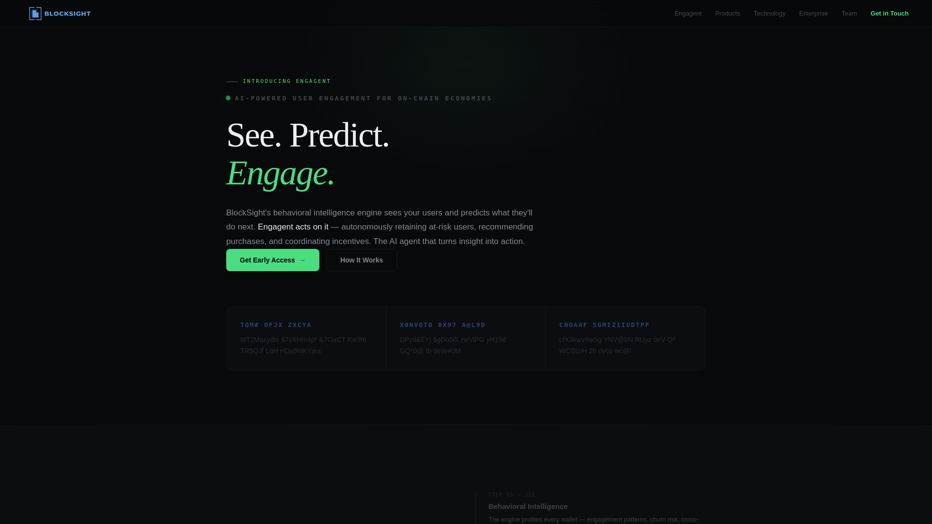 website screenshot of https://blocksight.nl/