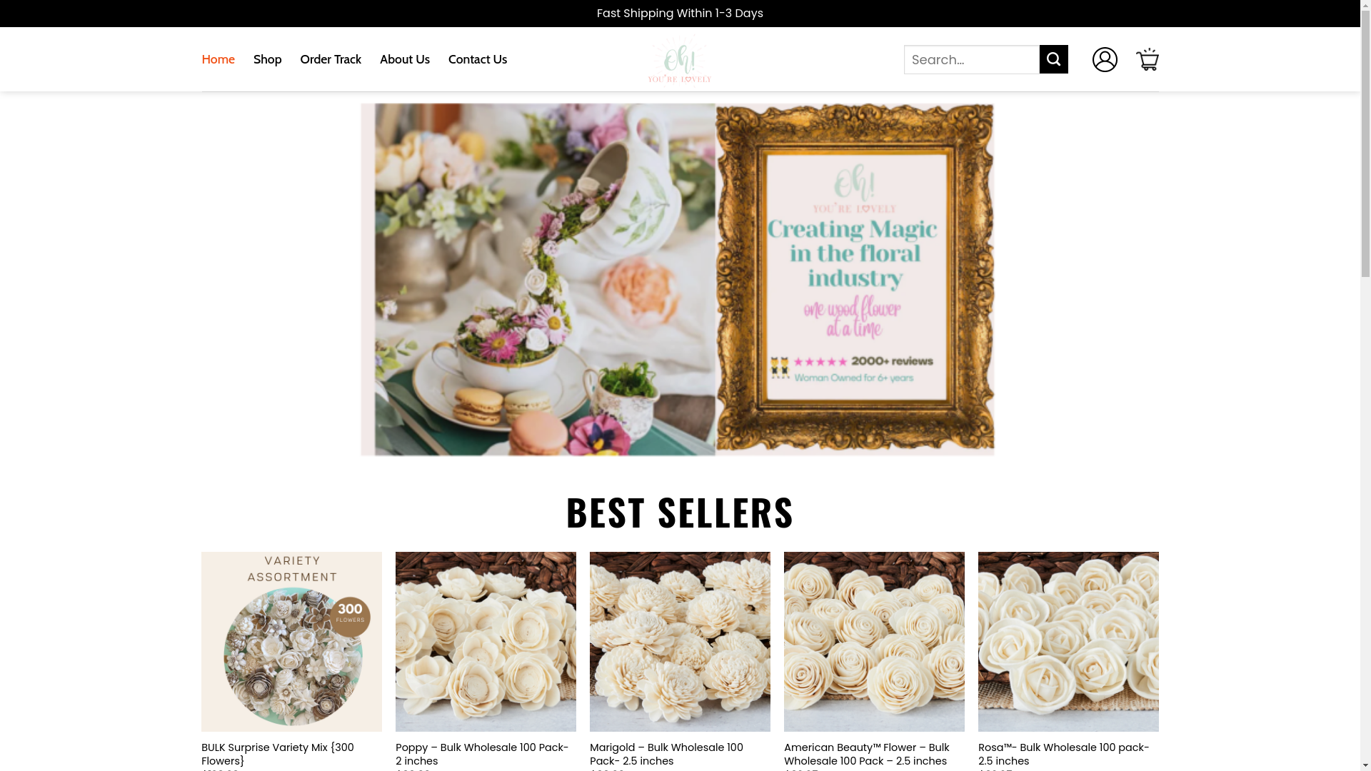 website screenshot of https://holaohyourelovely.shop/