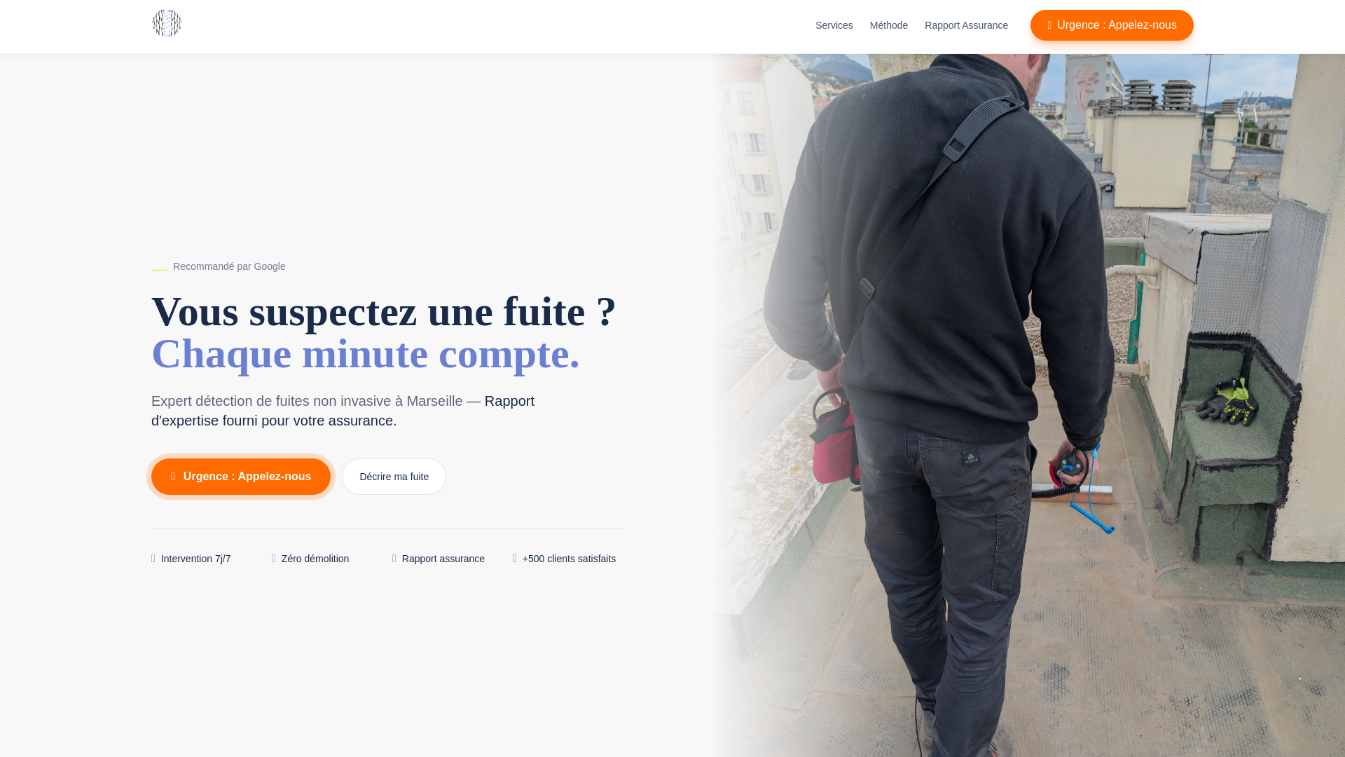 website screenshot of https://lfd-detection-sinistre.fr