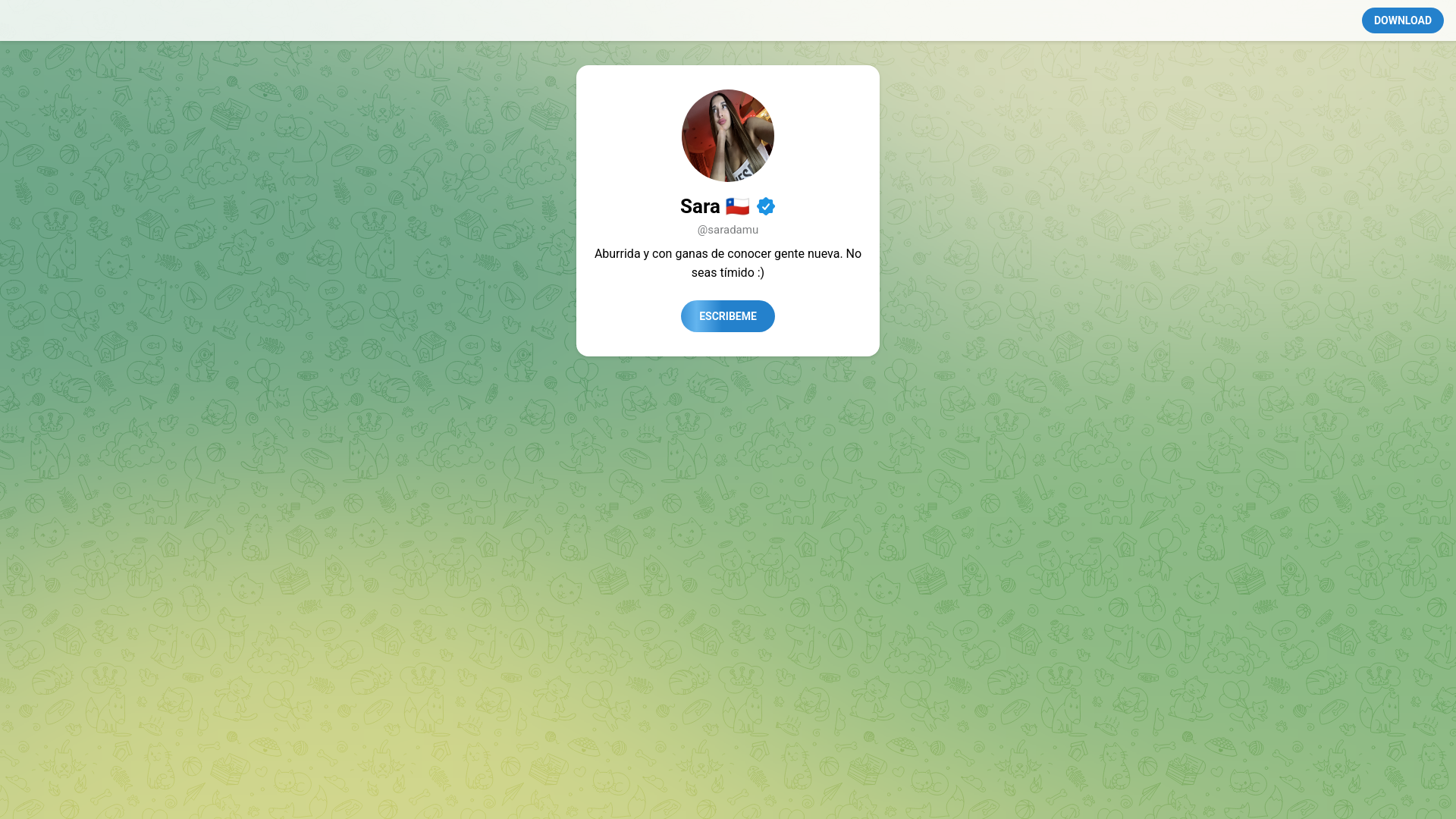 website screenshot of https://saritaacl.saramz.com