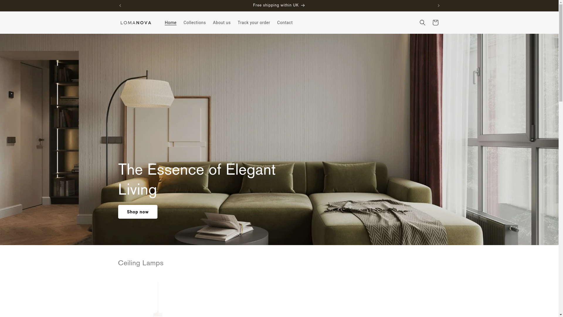 website screenshot of https://lemanova.com/