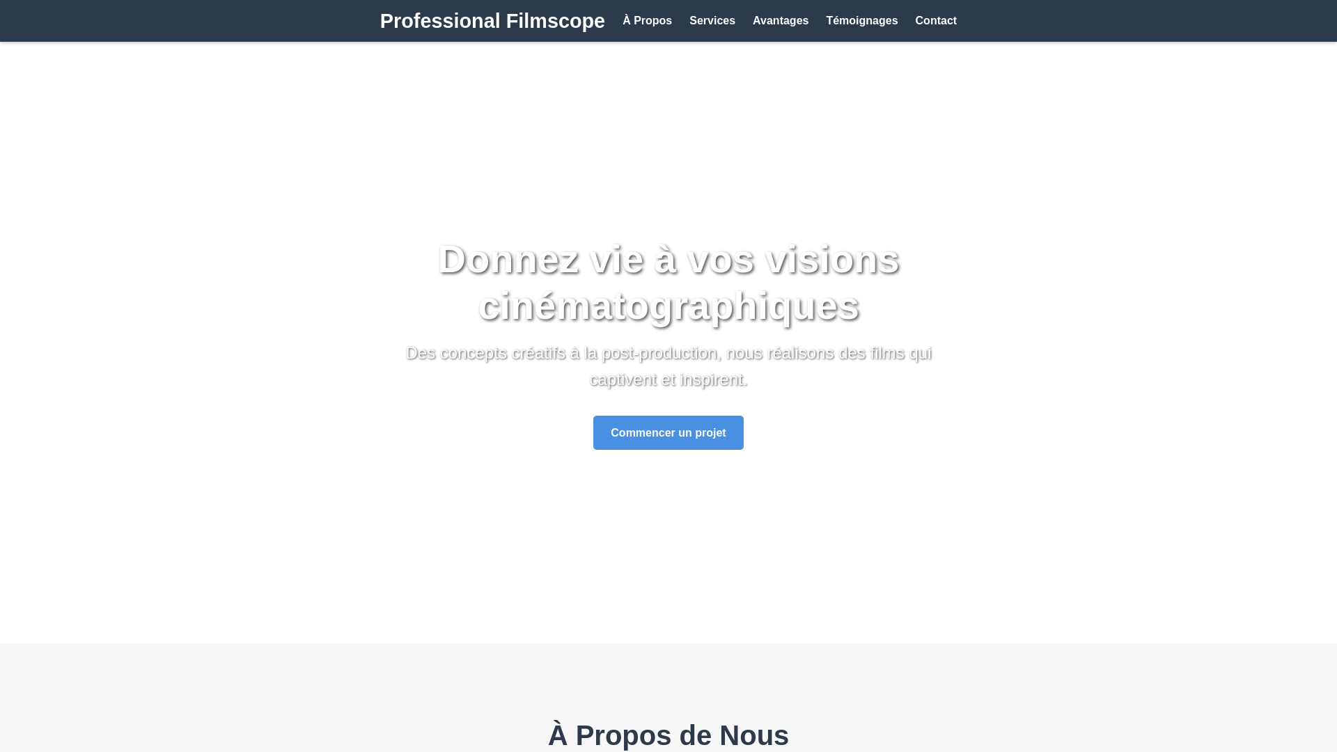 website screenshot of https://professionalfilmscope.click/
