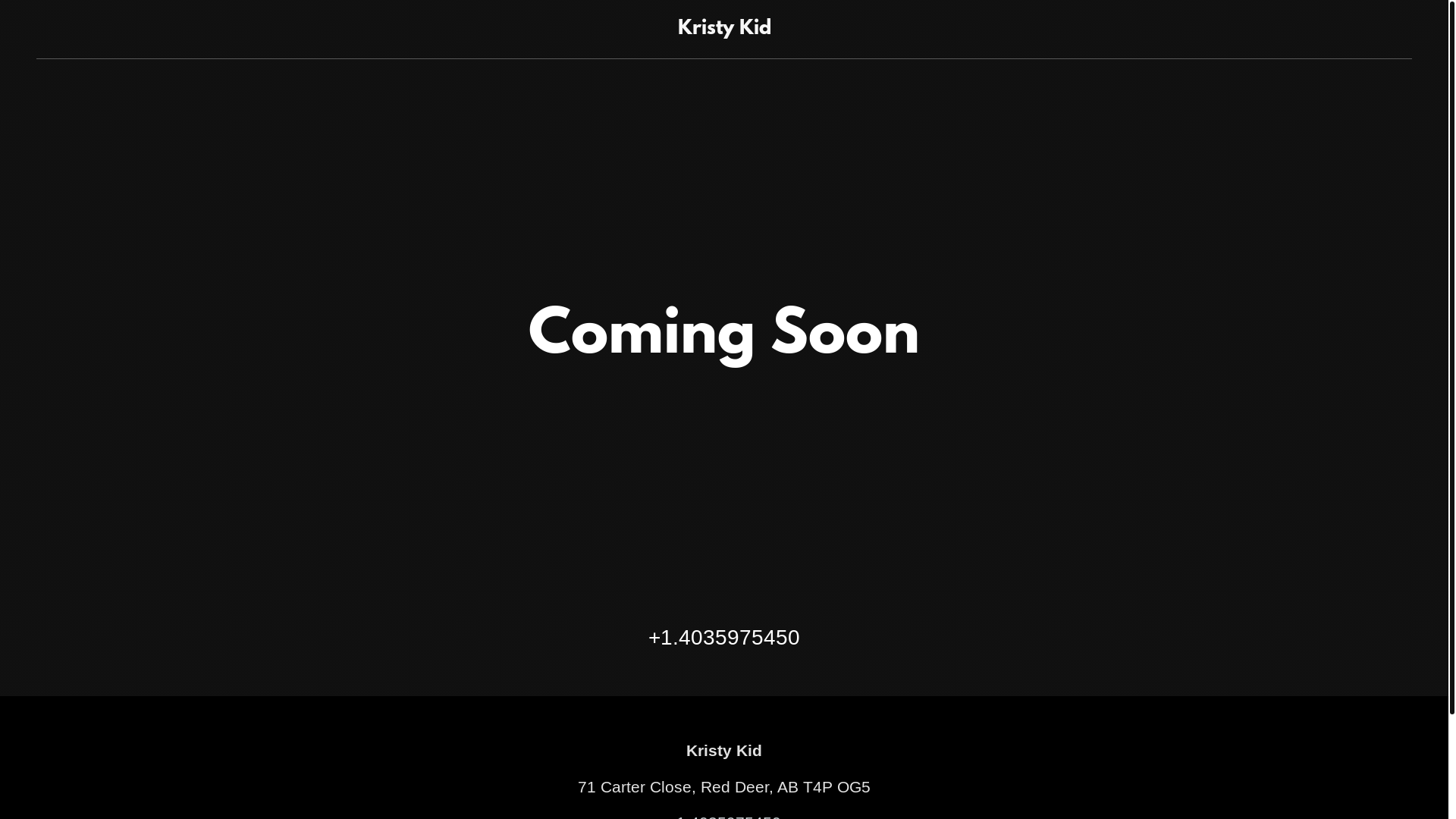 website screenshot of https://kristykid.com/
