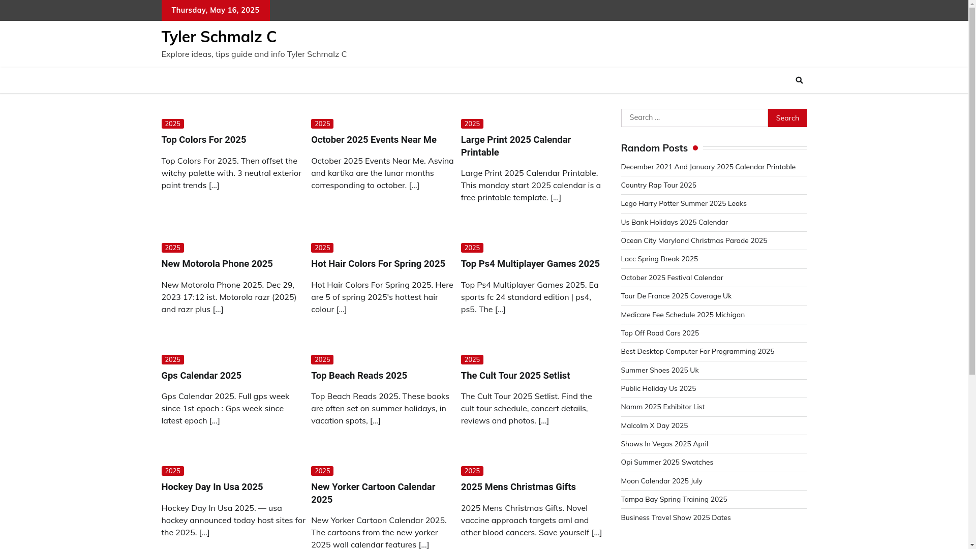 website screenshot of https://tylerschmalzc.pages.dev/
