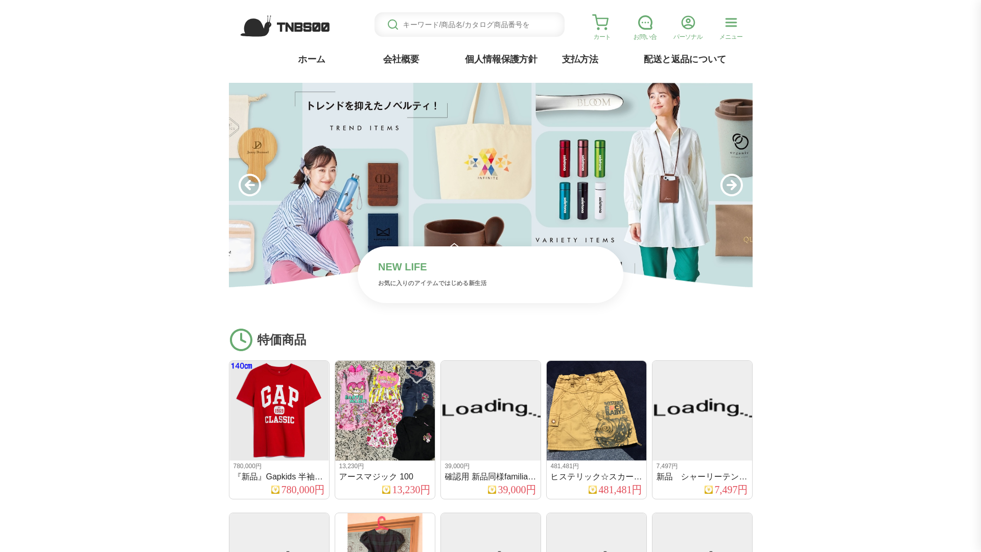 website screenshot of https://tnbs.esgxyvy.click