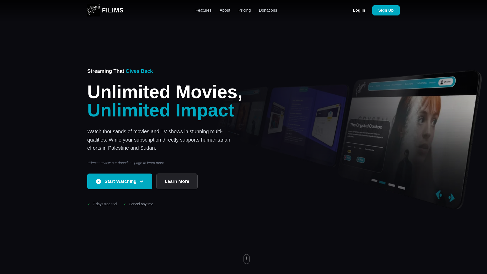 website screenshot of https://filims.do/
