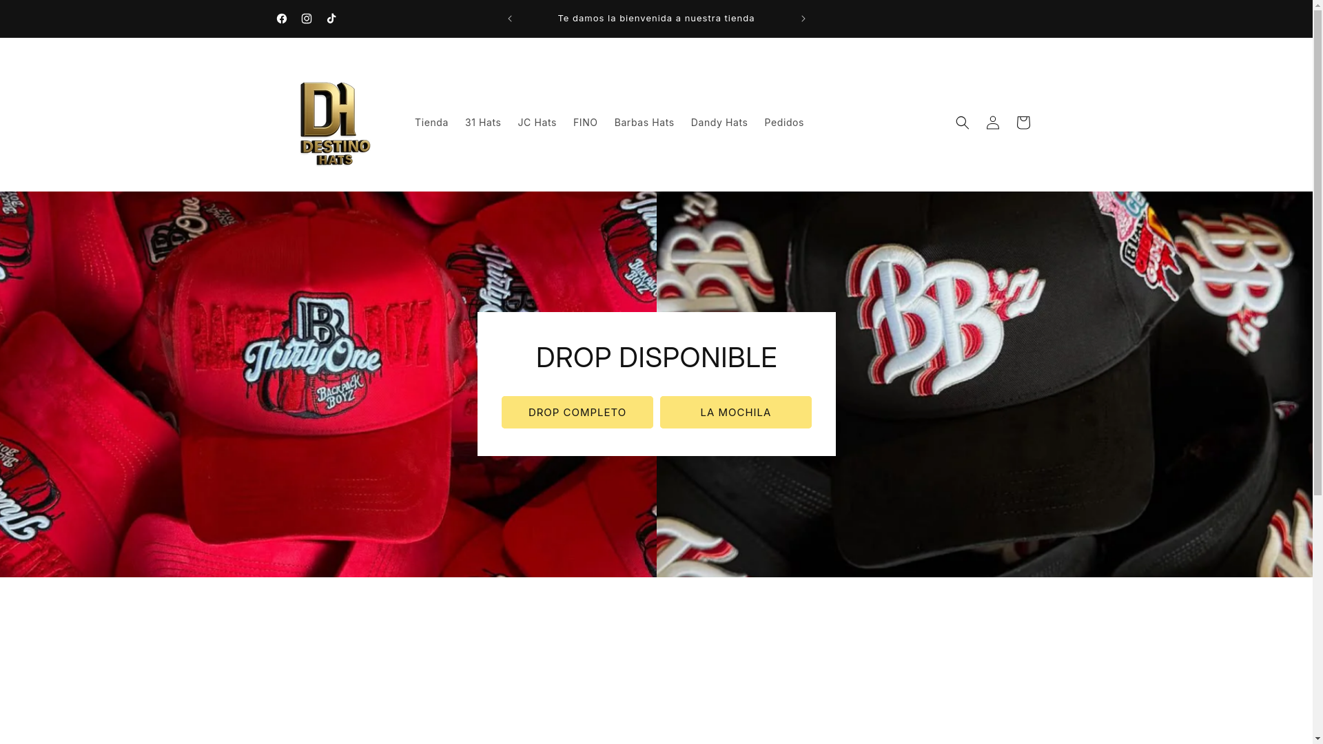 website screenshot of https://destinohats.com/