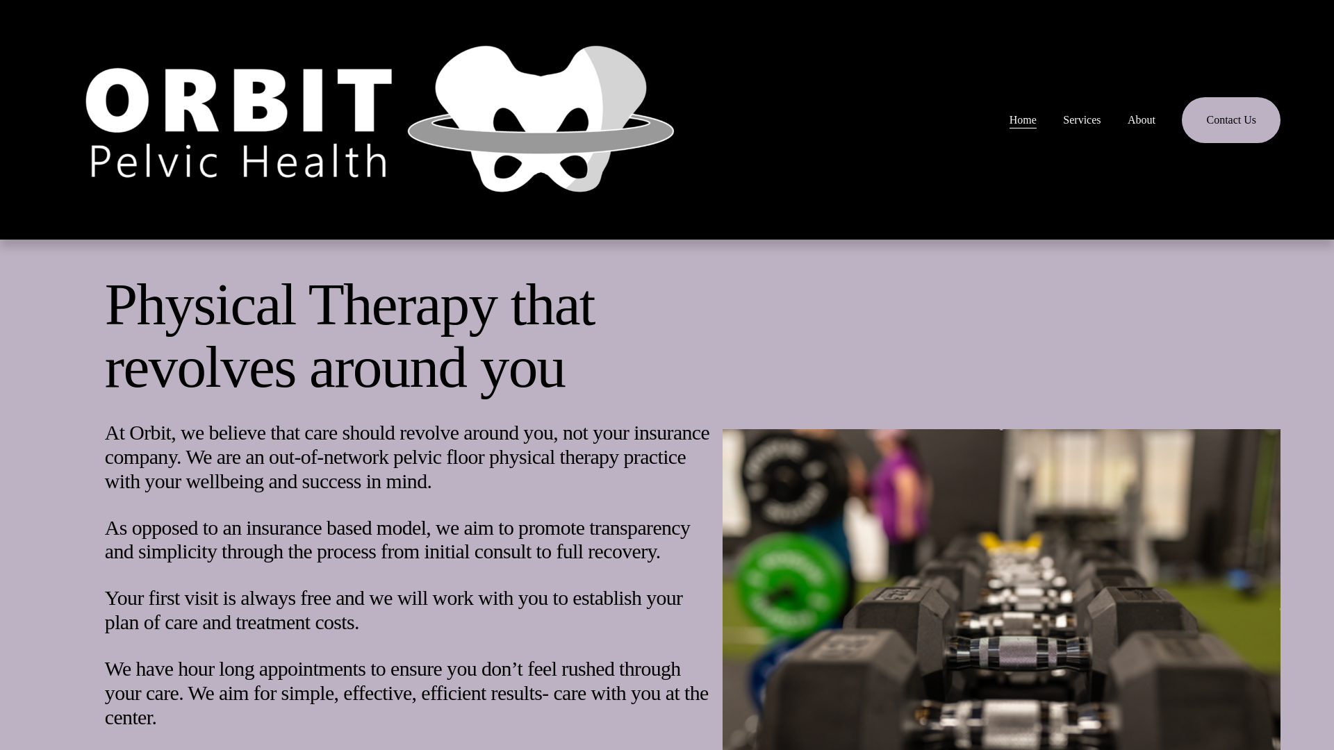 website screenshot of https://orbitpelvichealth.com/