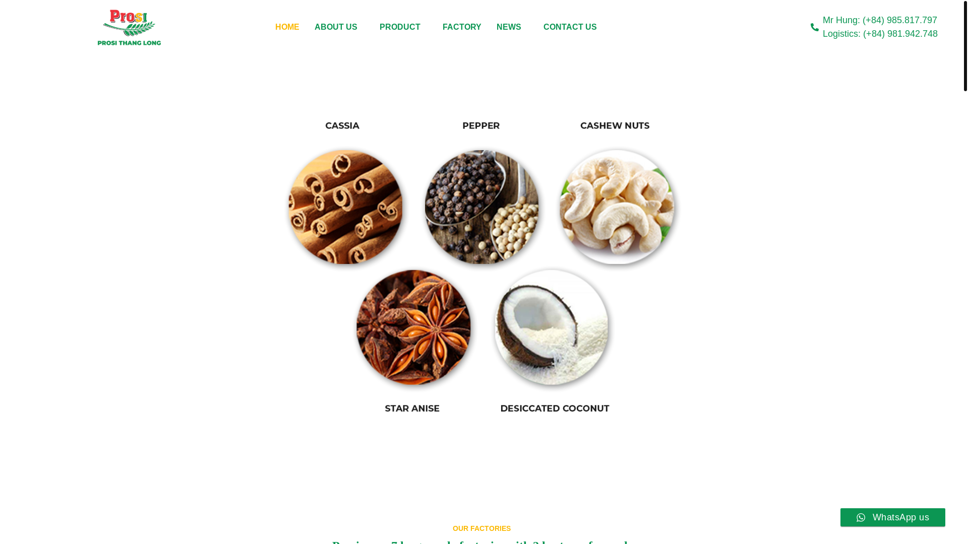website screenshot of https://prosivietnam.com.vn/