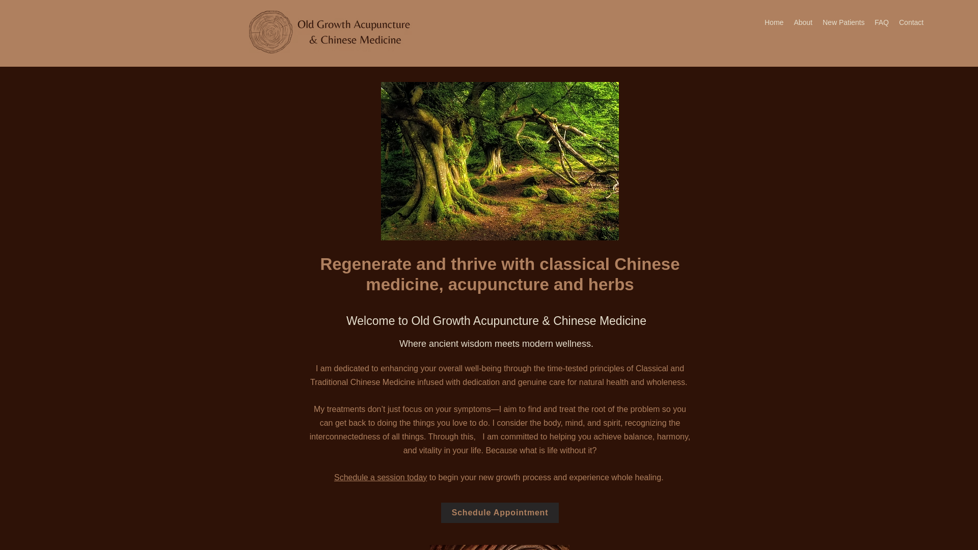 website screenshot of https://tickbitemeat.com