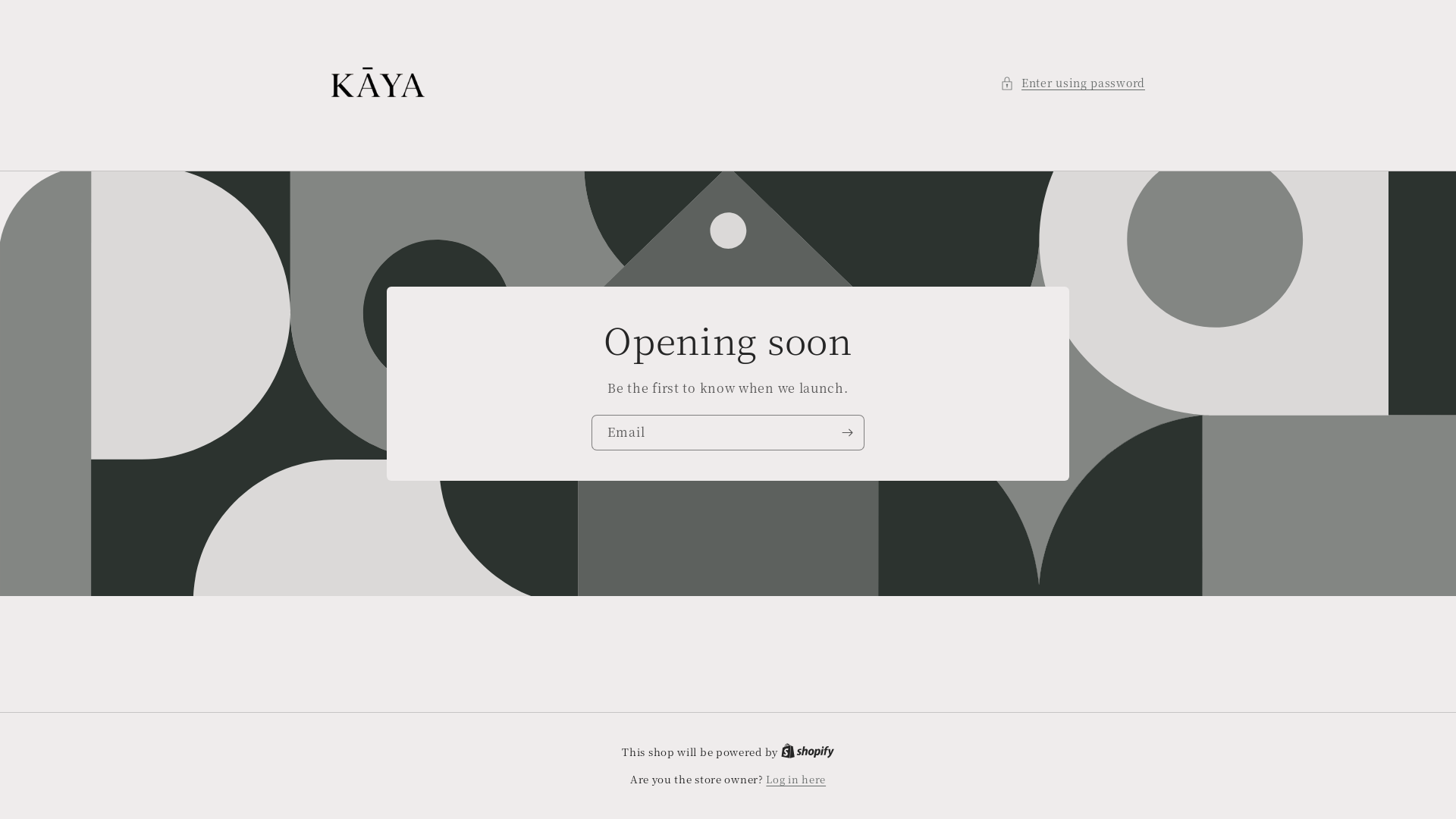 website screenshot of https://shopkayaskin.com/