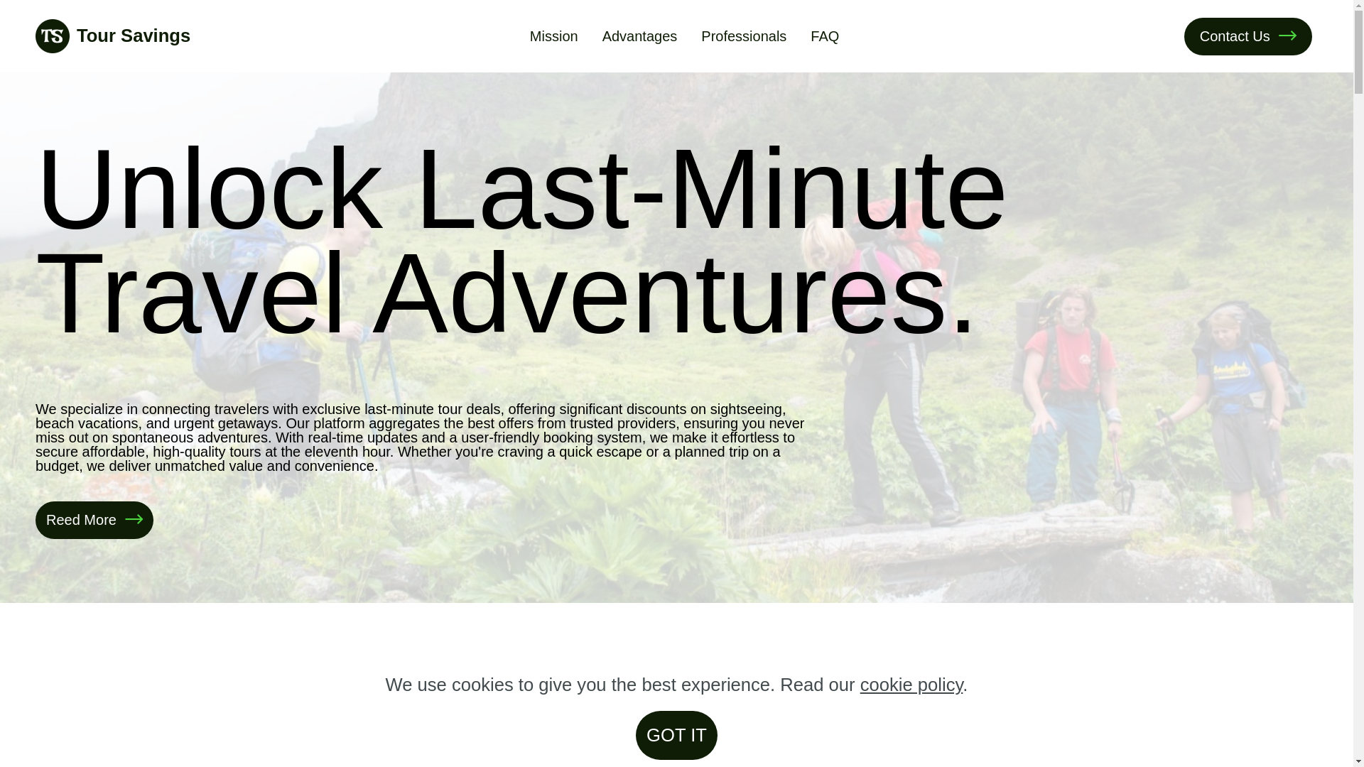 website screenshot of https://cheaptours.top/