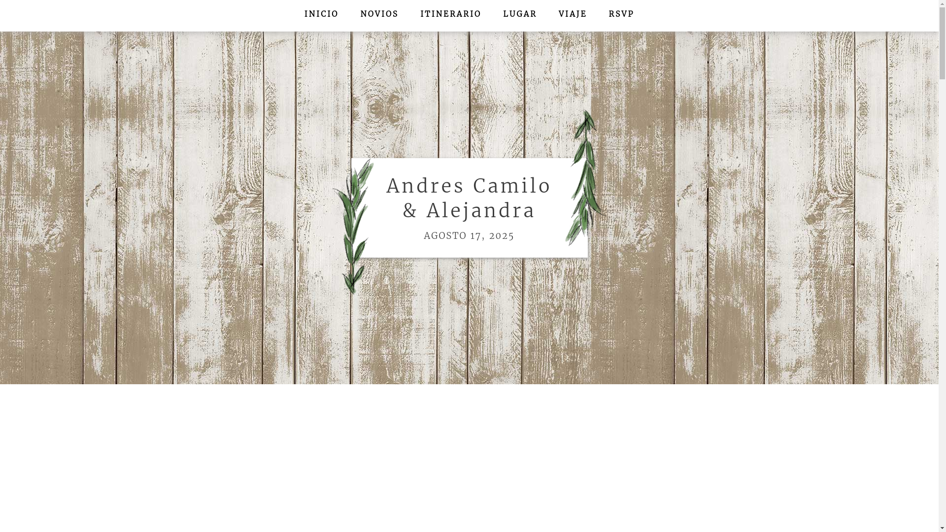 website screenshot of https://aleyandrescamilo.com/