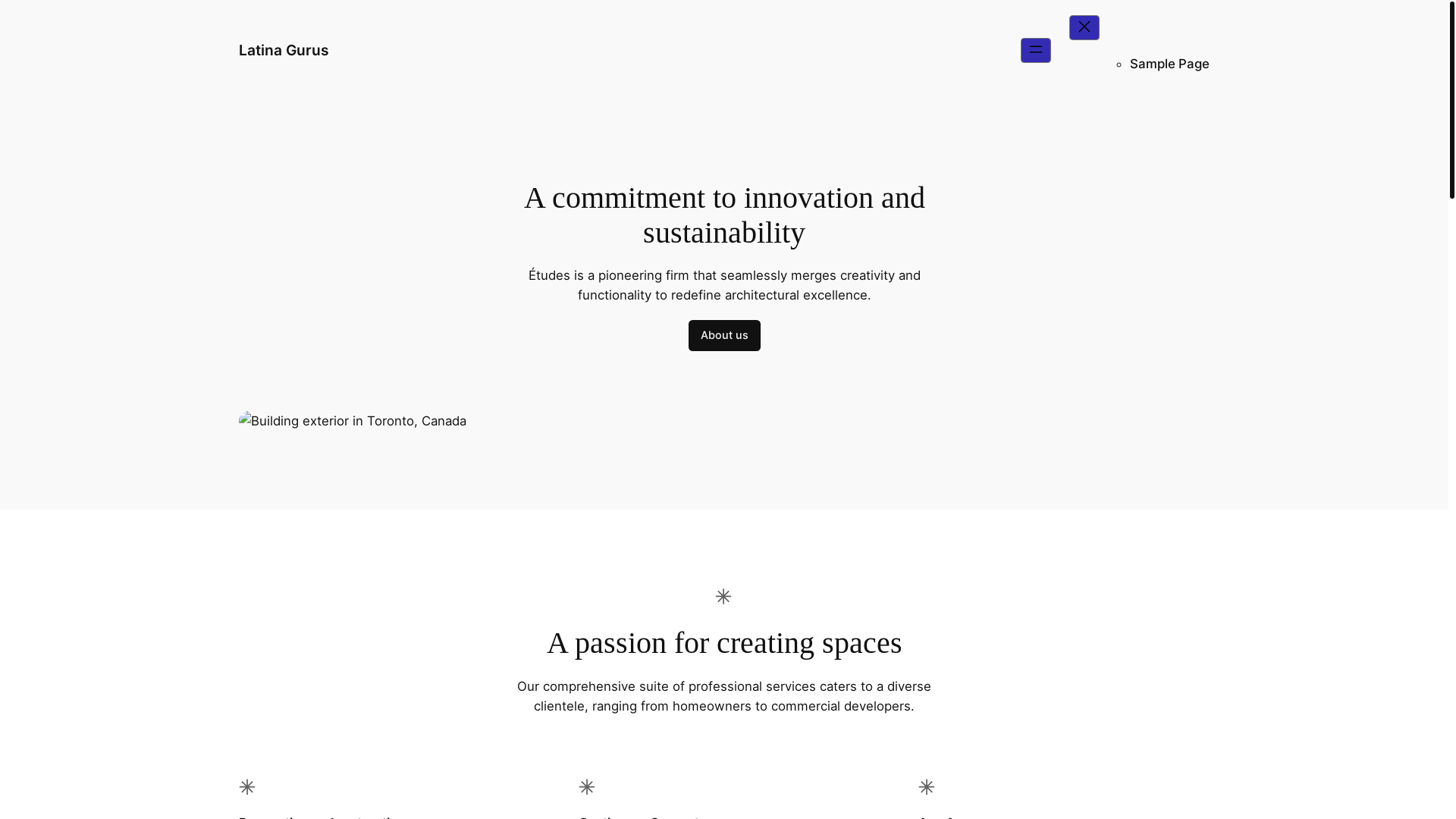 website screenshot of https://galaelemento.com/