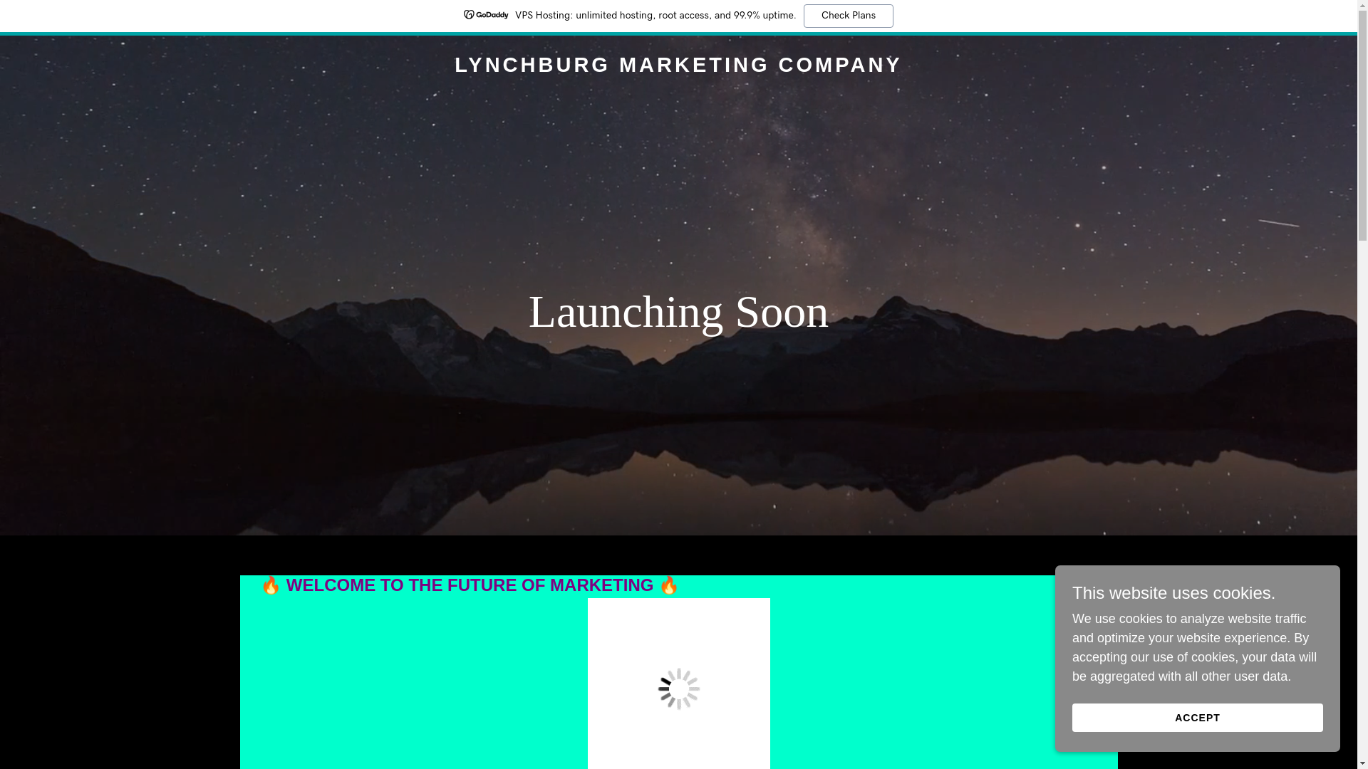website screenshot of https://lynchburgmarketingcompany.com/