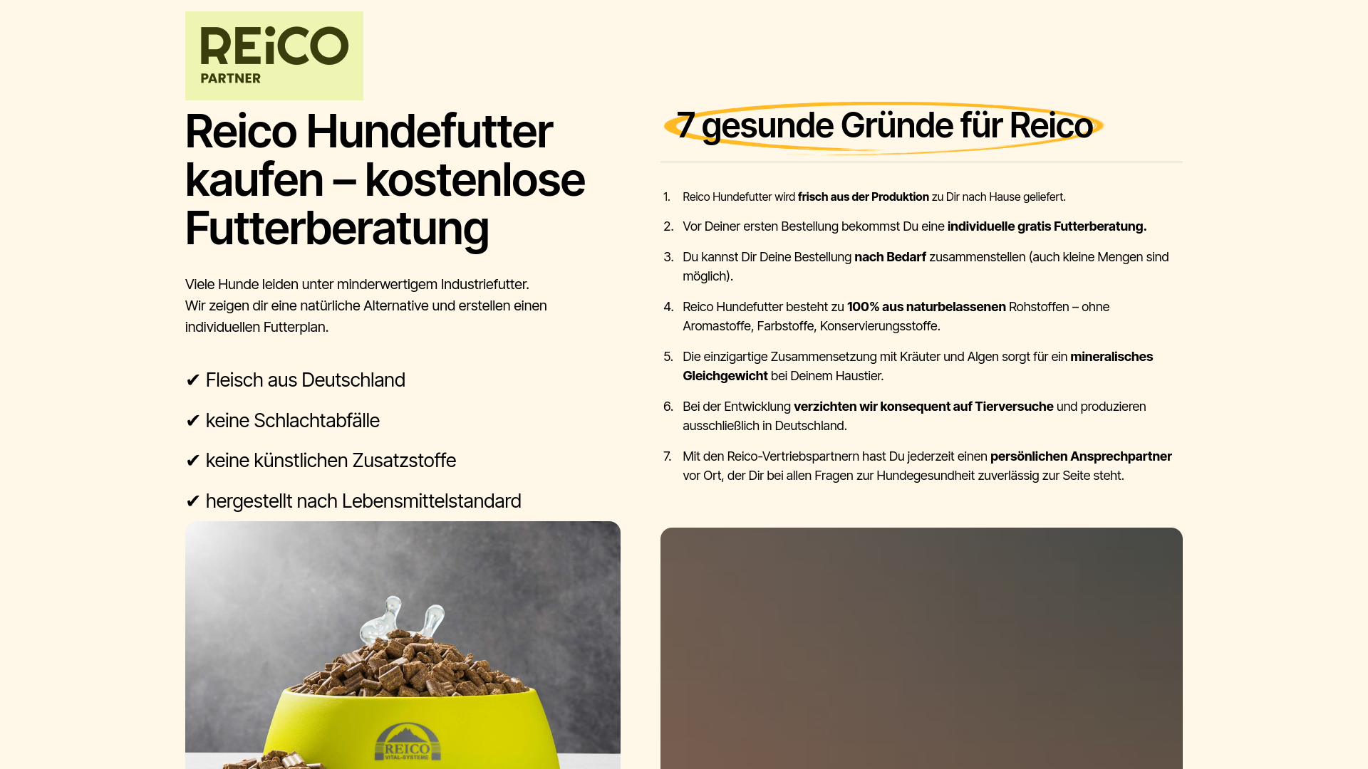 website screenshot of https://vital-futterberatung.de/