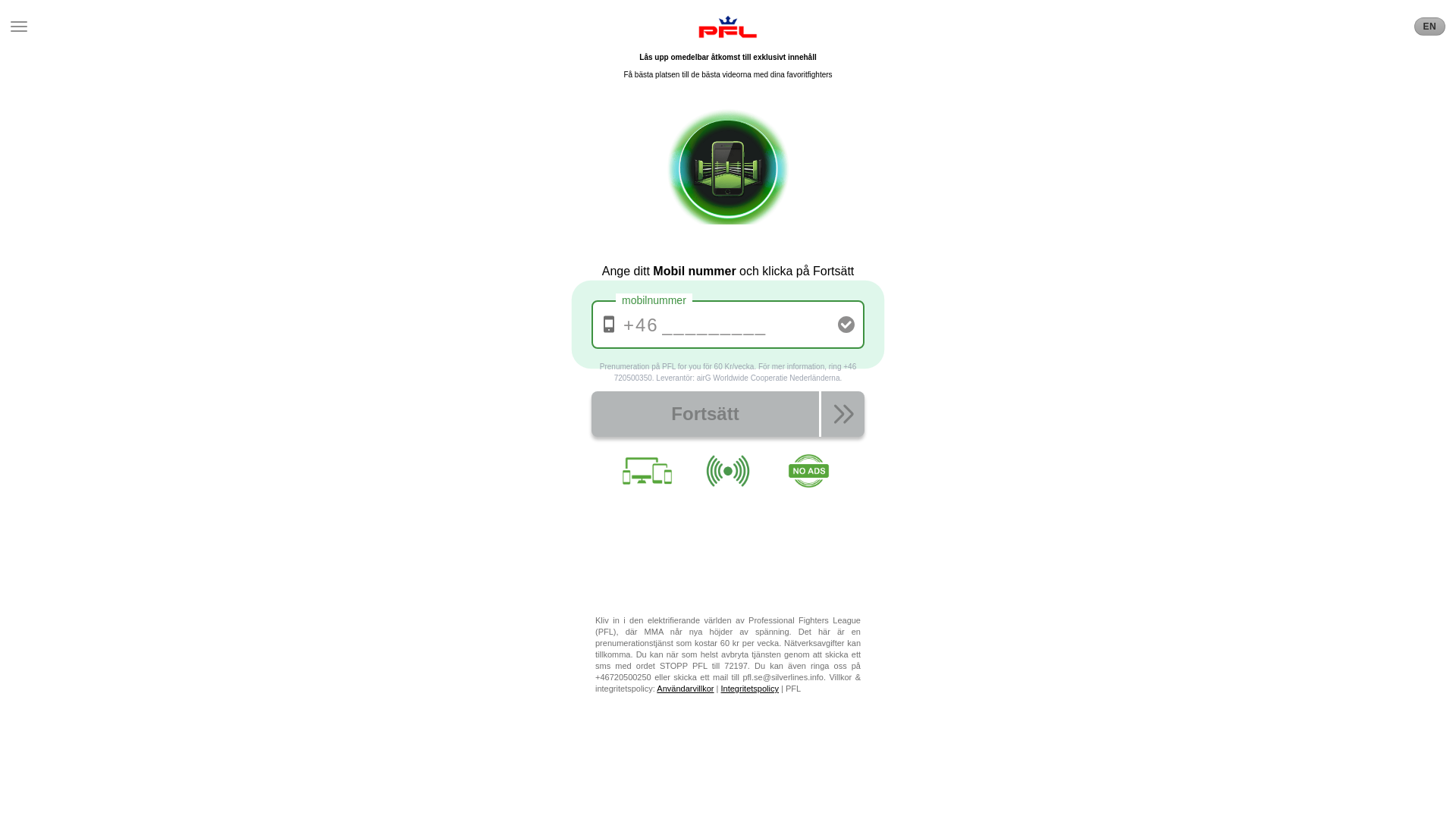 website screenshot of https://pfleague-se.com/
