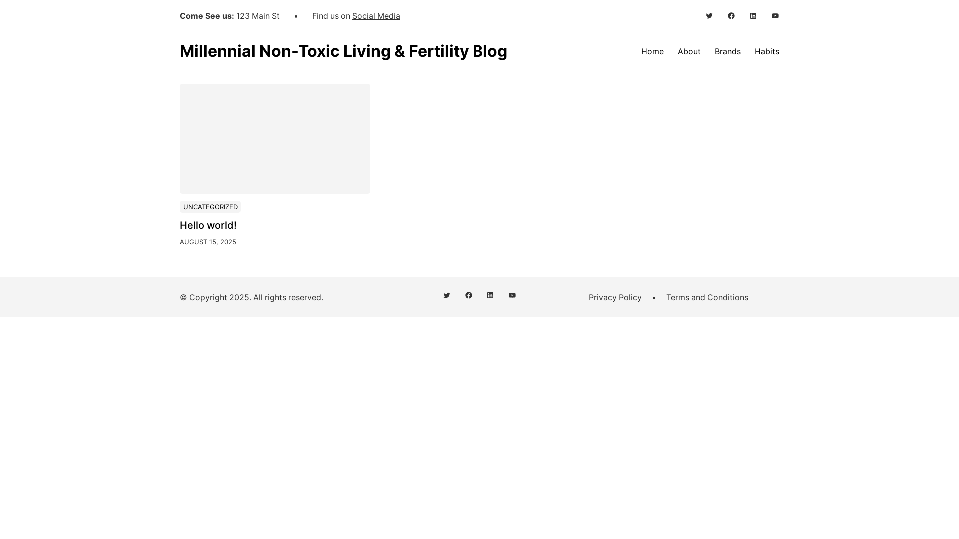 website screenshot of https://scrunchiemillennial.com/