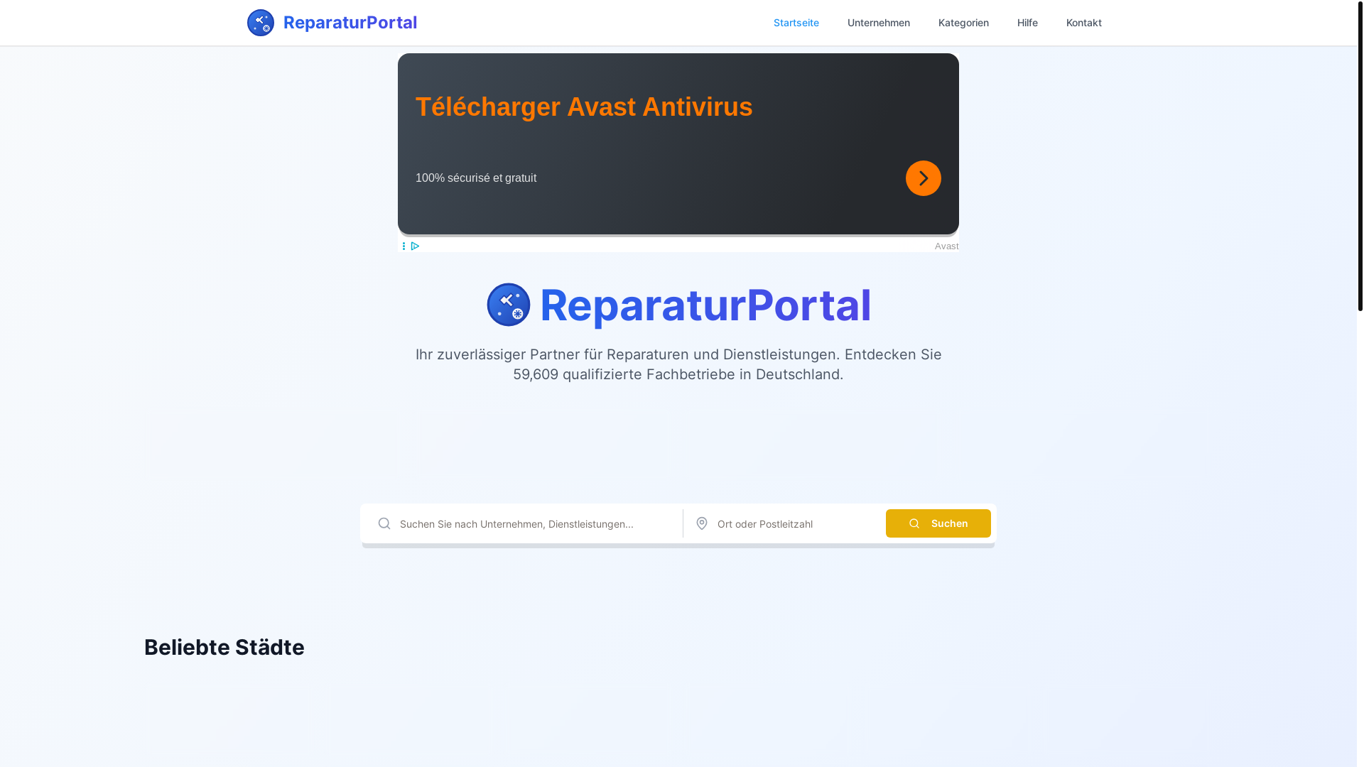 website screenshot of https://reparaturportal.top/