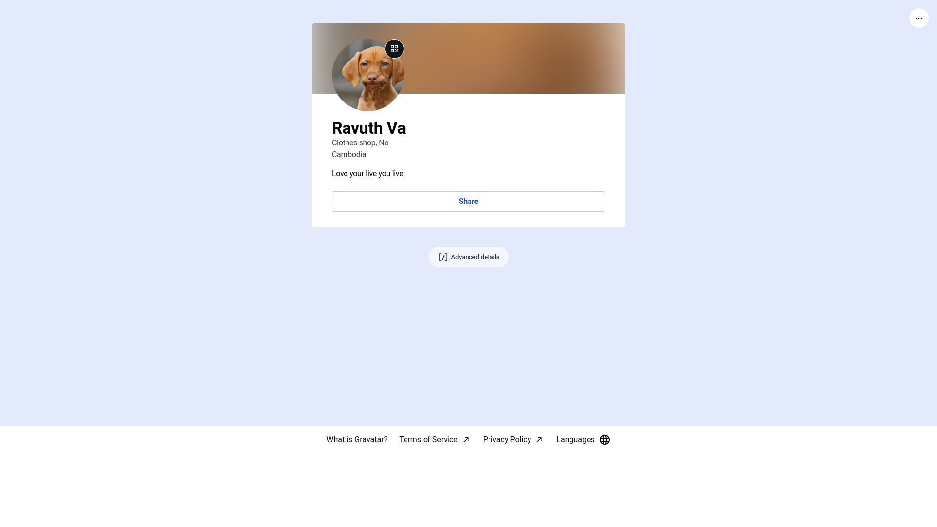 website screenshot of https://ravuthva.link/