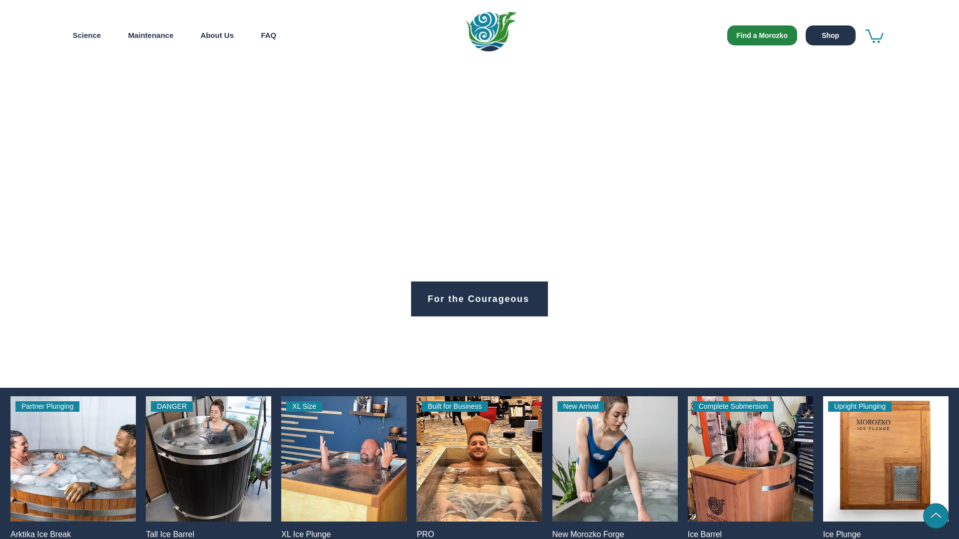 website screenshot of https://mymorozkoforge.pro/