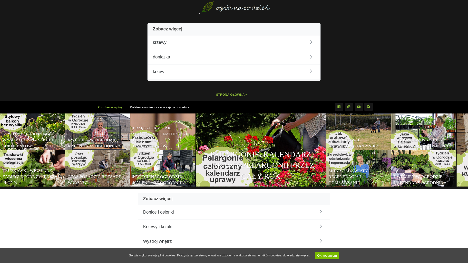 website screenshot of https://ogrodnacodzien.pl
