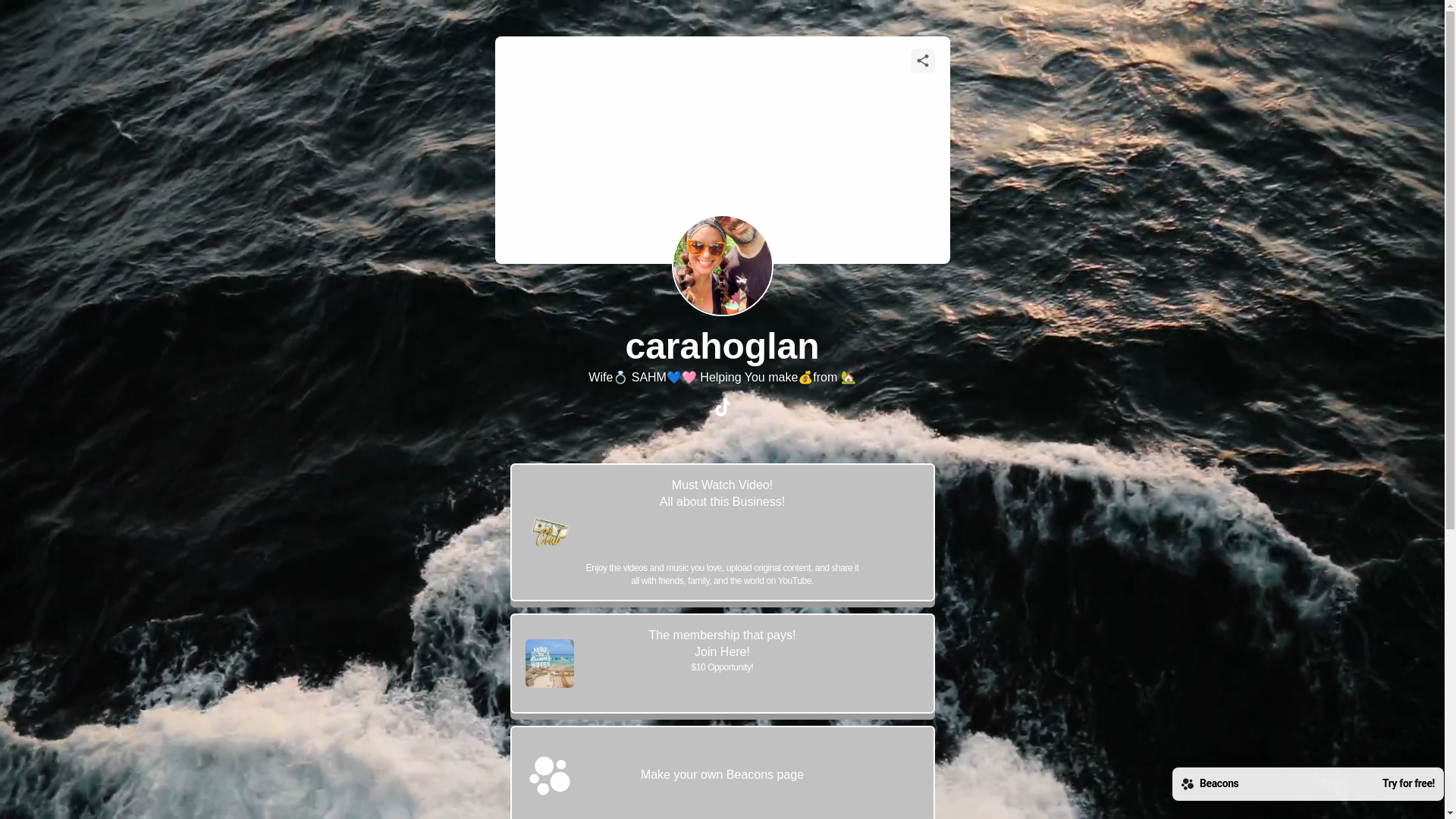 website screenshot of https://carahoglan.com/