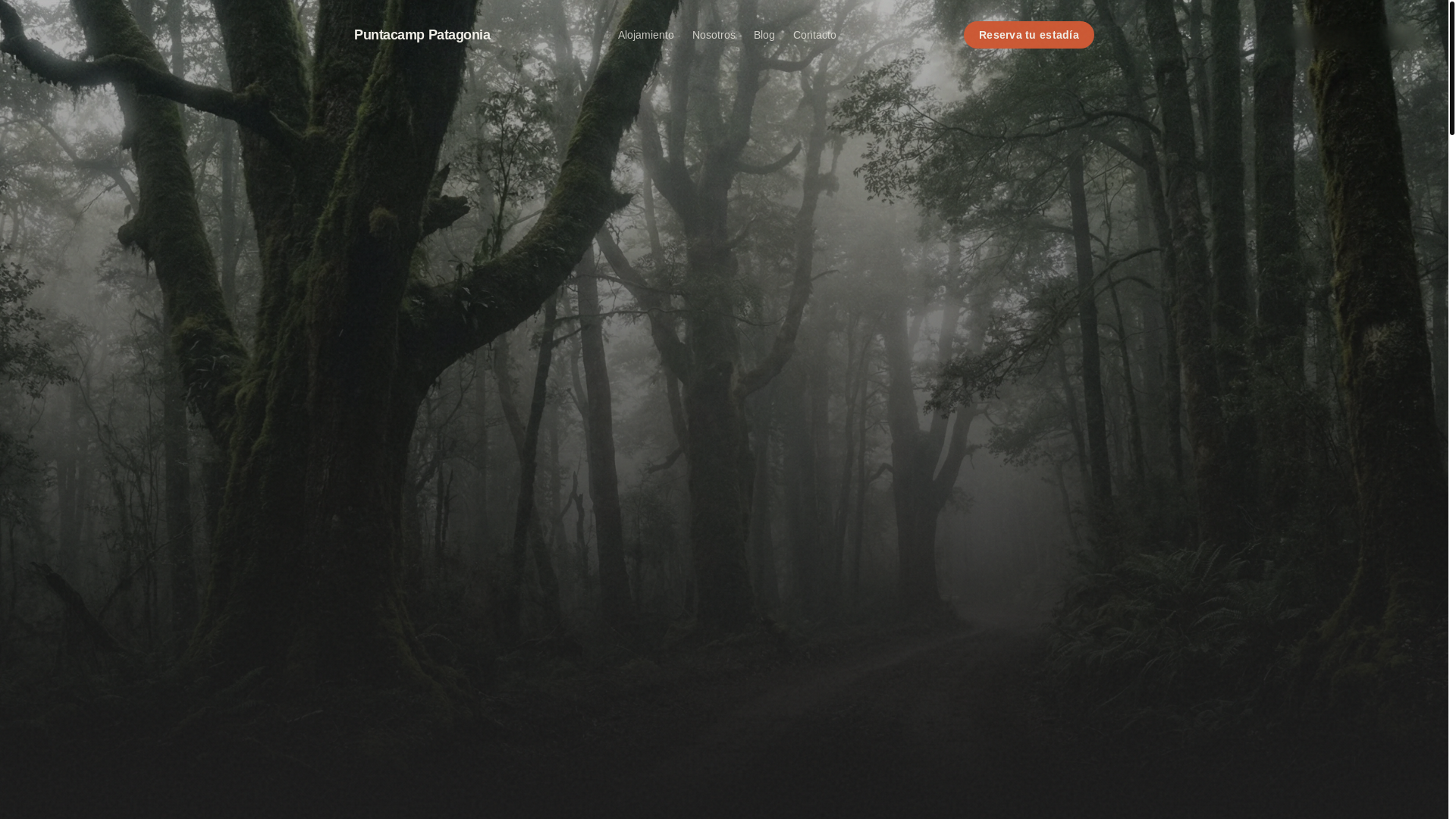 website screenshot of https://puntacamp-site.pages.dev/