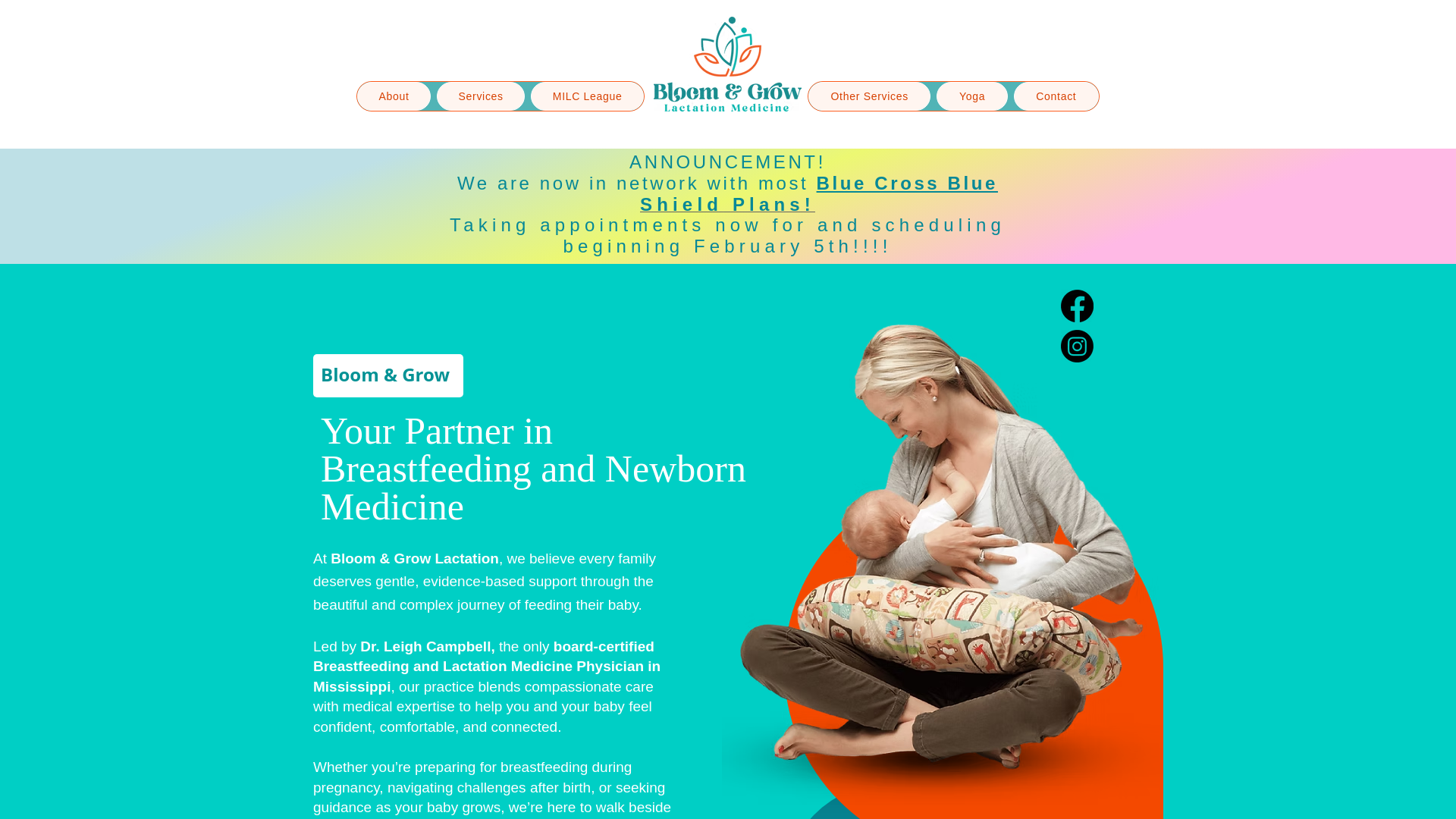 website screenshot of https://msbreastfeeding.com/