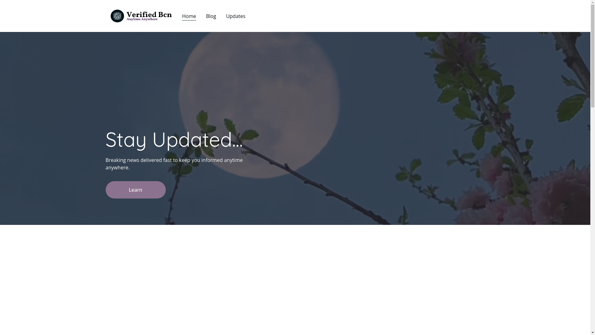 website screenshot of https://verifiedbcn.com/