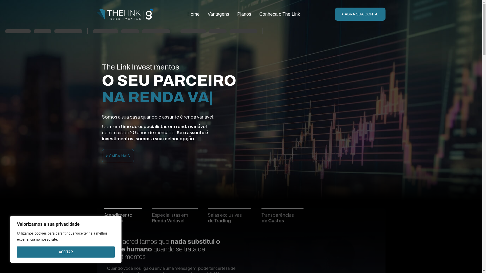 website screenshot of https://thelinkinvestimentos.com.br/