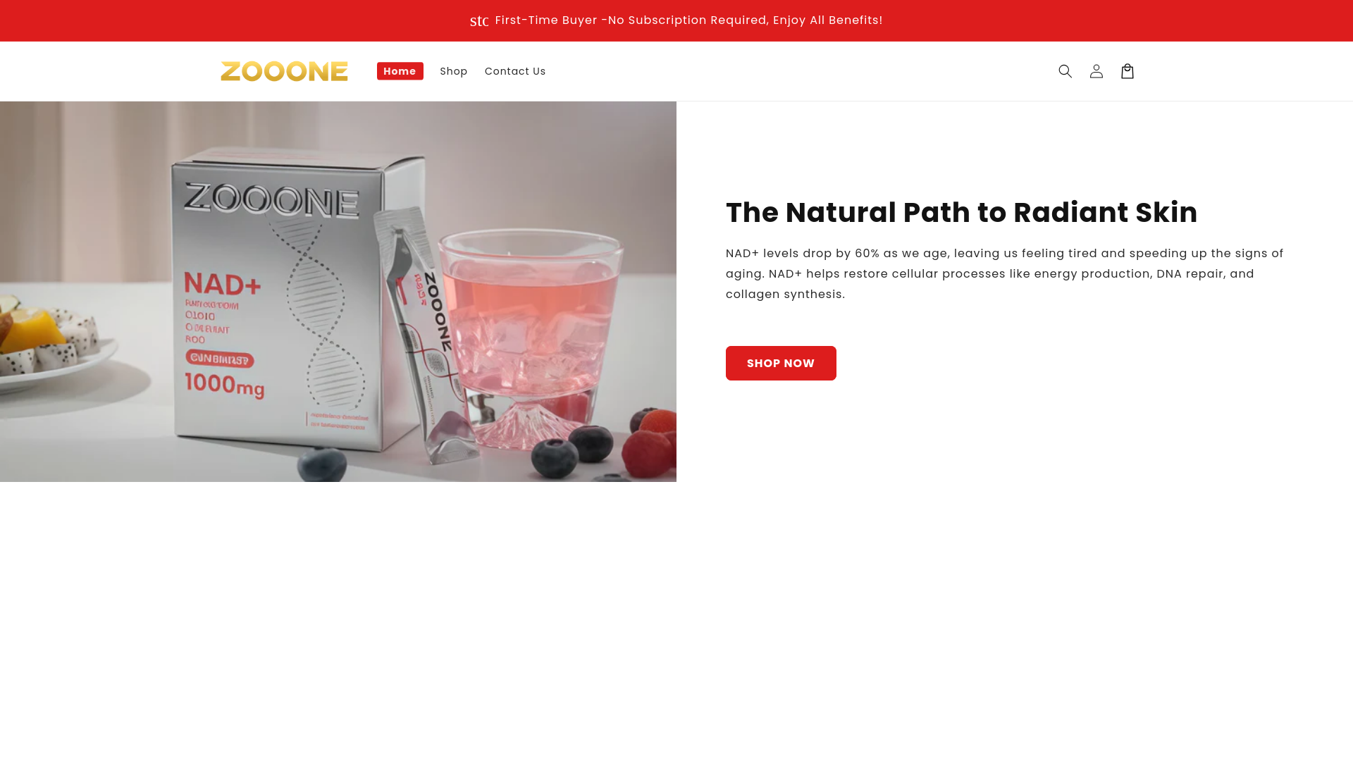 website screenshot of https://zoooneshop.one