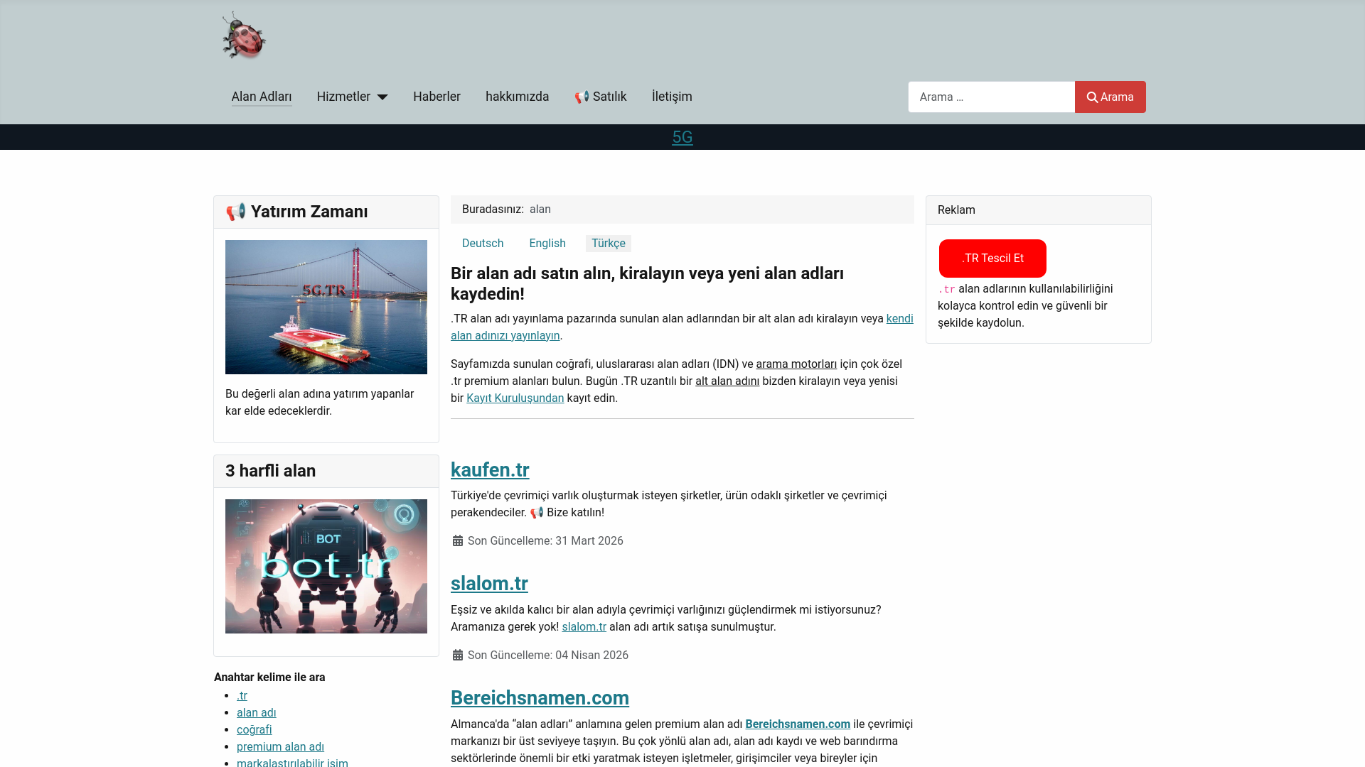 website screenshot of https://domainregistration.tr/