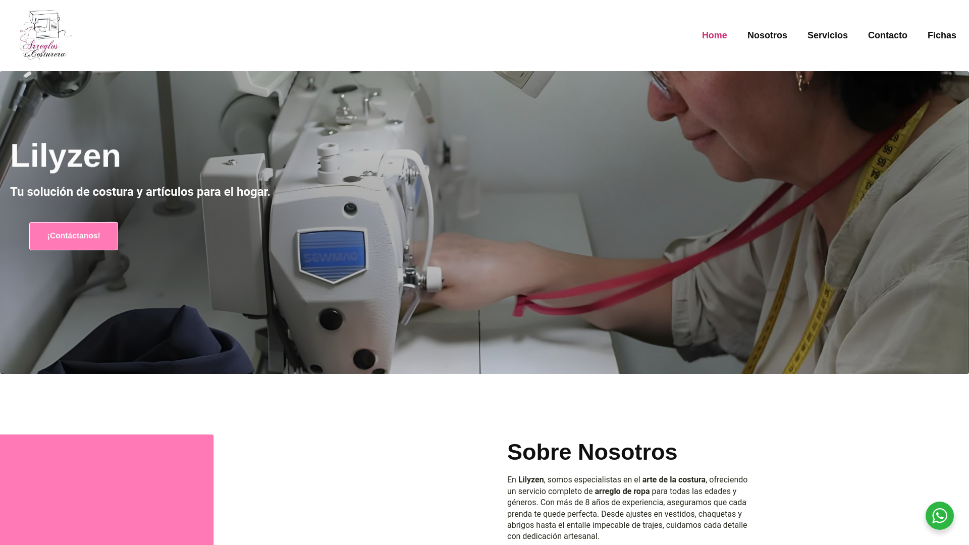 website screenshot of https://lilyzencosturera.com