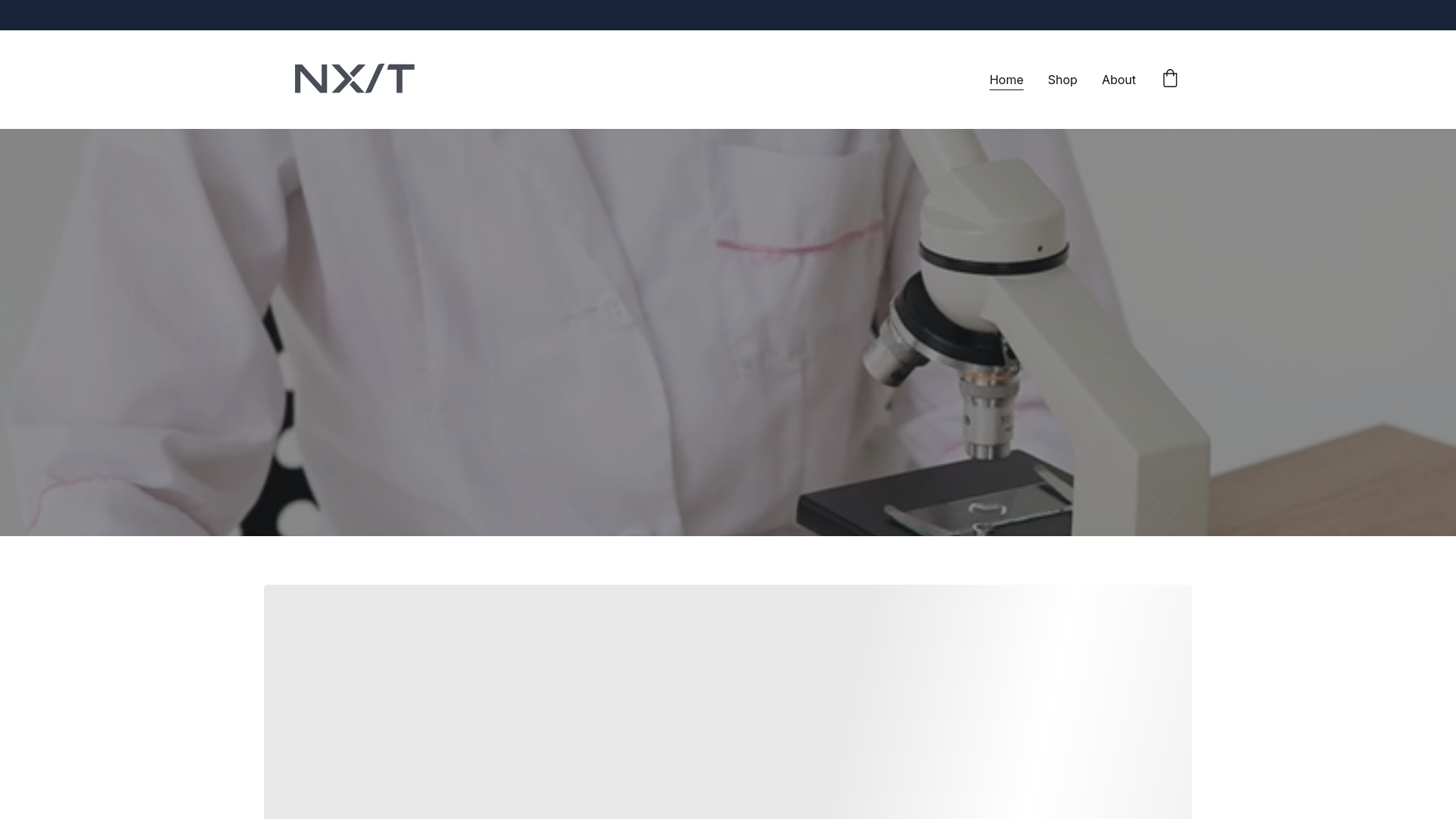 website screenshot of https://nx-t.co.uk/