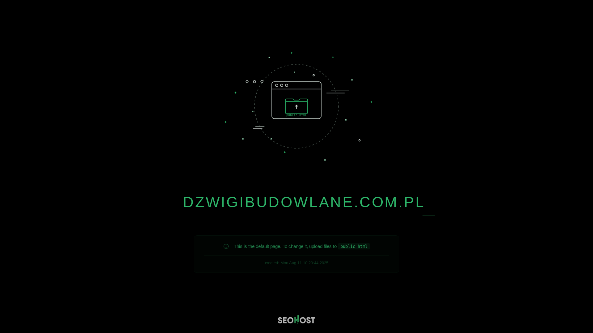 website screenshot of https://dzwigibudowlane.com.pl/