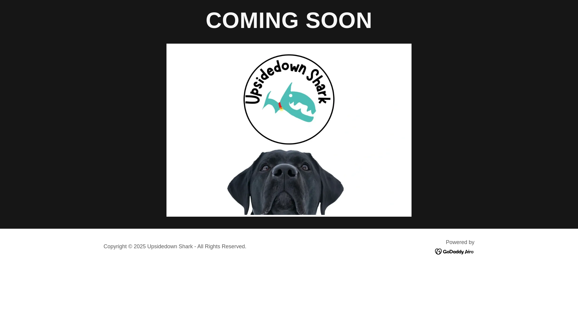 website screenshot of https://upsidedownshark.shop/