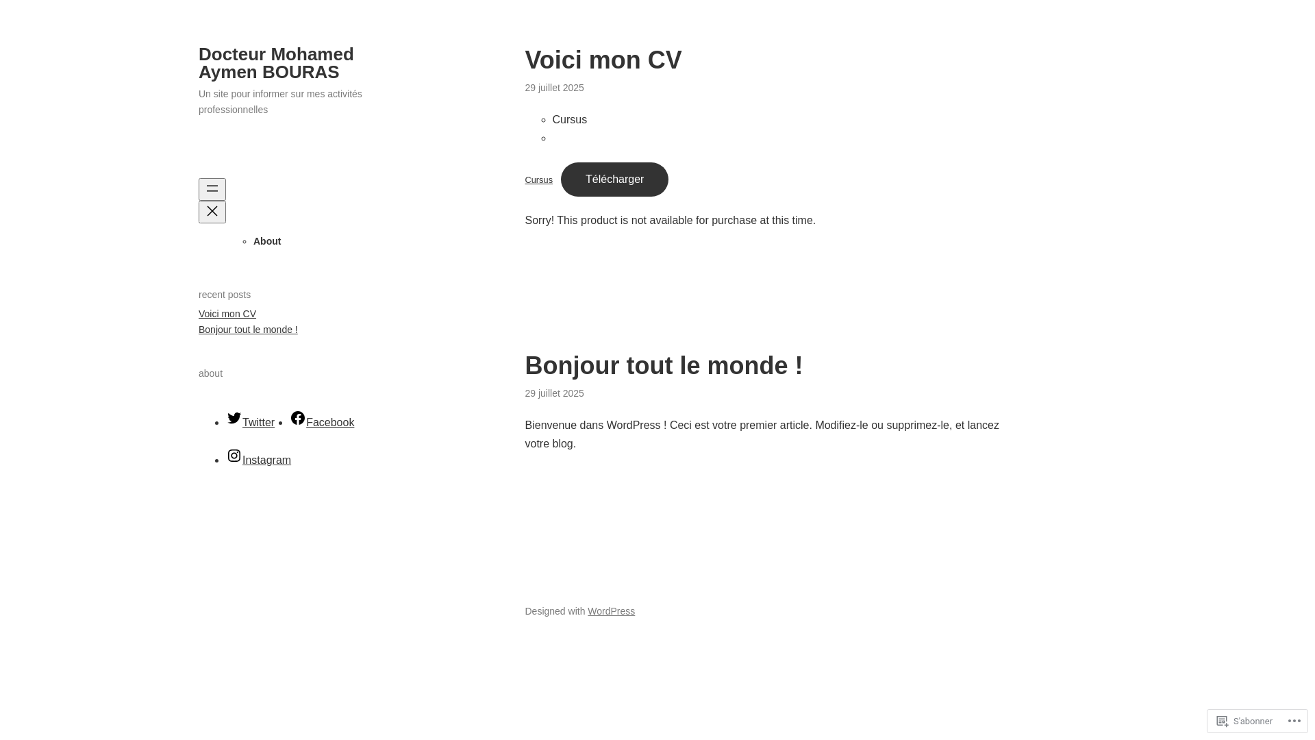 website screenshot of https://mohamedaymenbouras.org/
