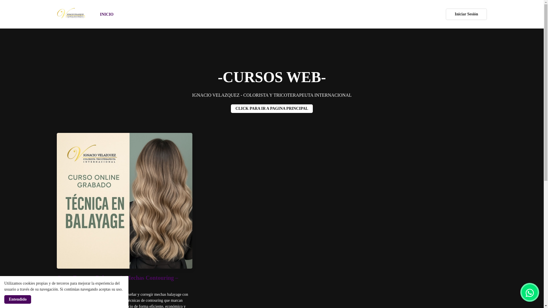 website screenshot of https://ignaciovelazquezpro.com/