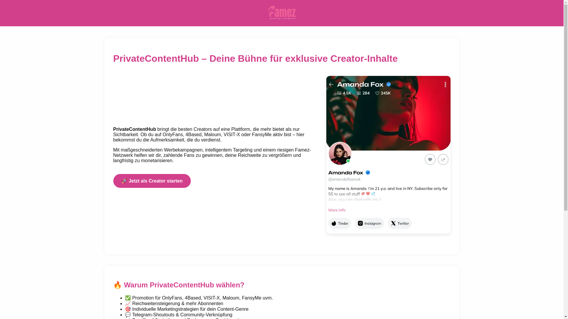 website screenshot of https://privatecontenthub.de/