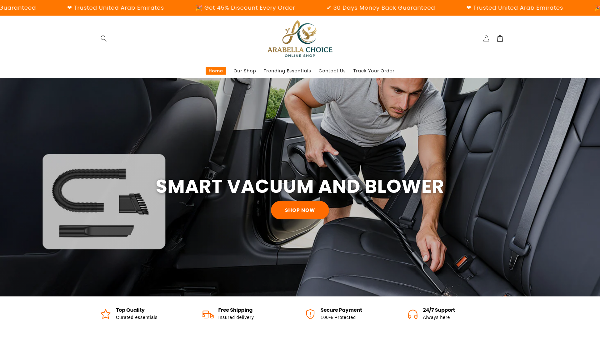 website screenshot of https://arabellachoice.com/