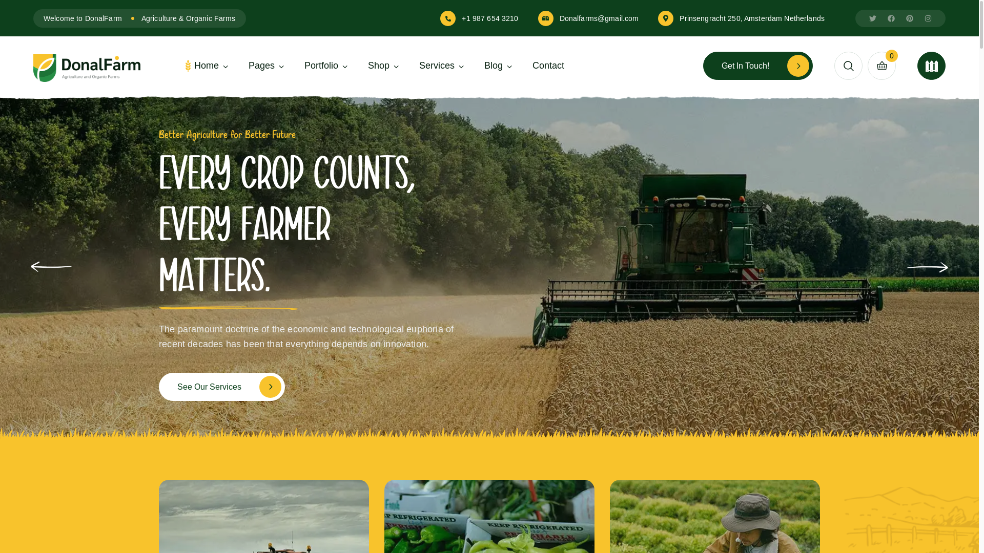 website screenshot of https://shambashine.com/