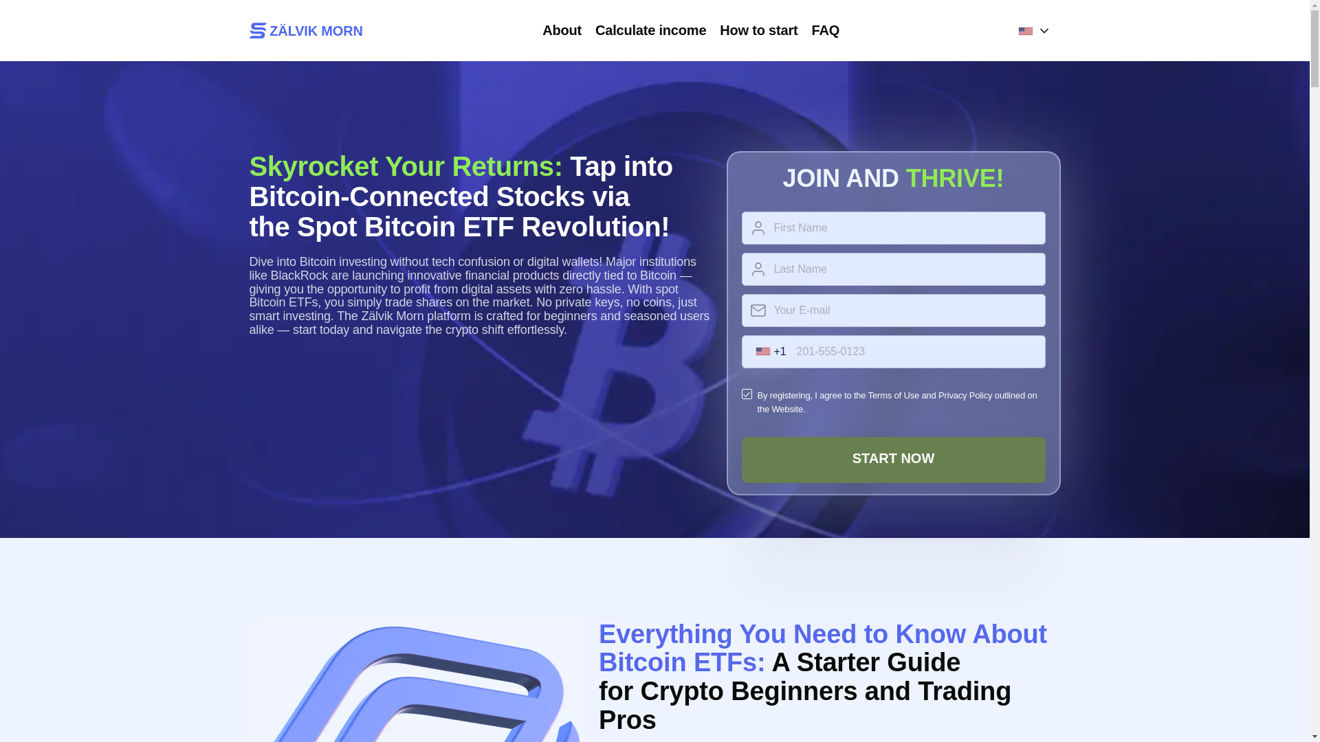 website screenshot of https://zalvik-morn.com/