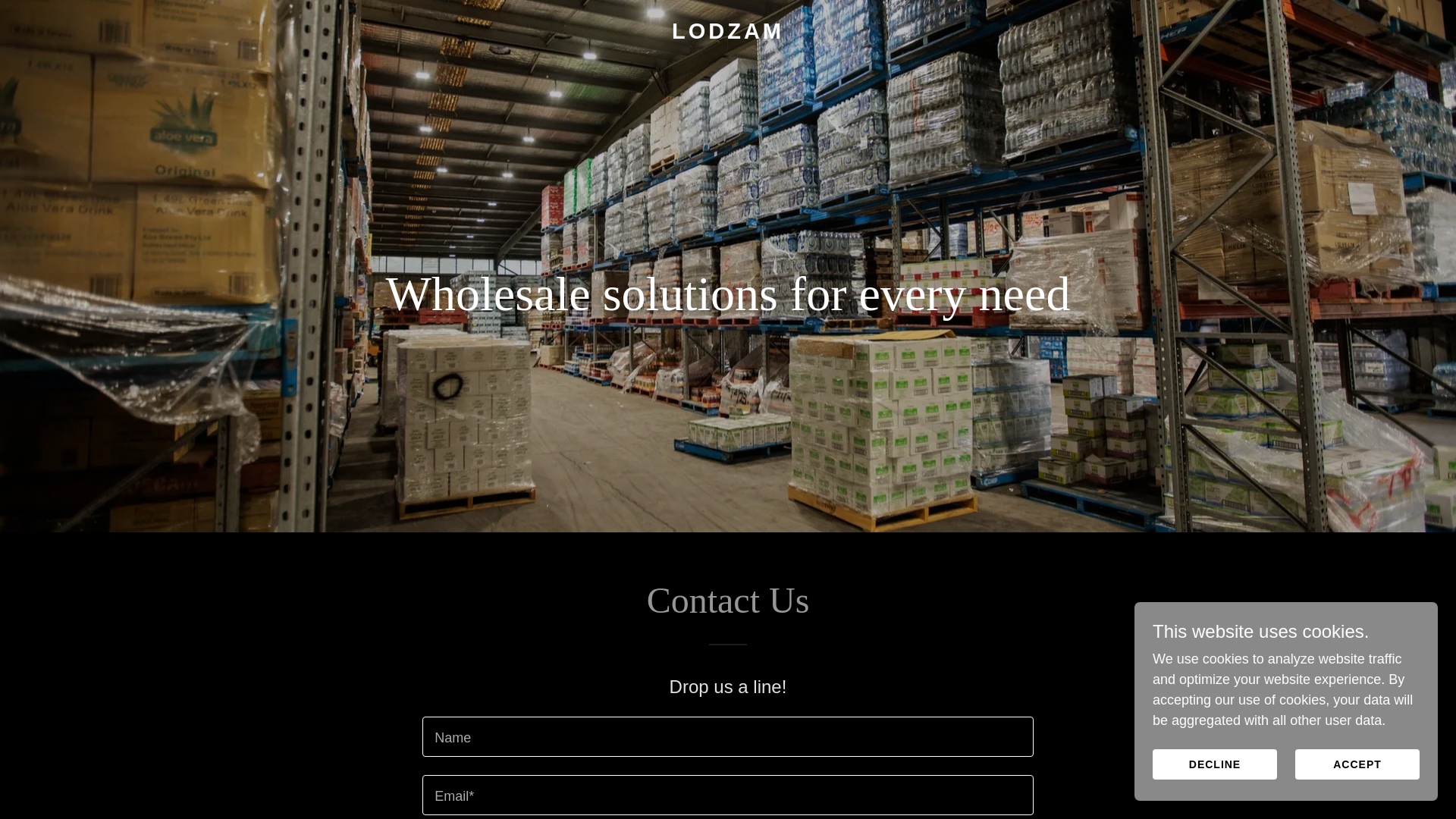 website screenshot of https://lodzam.com/