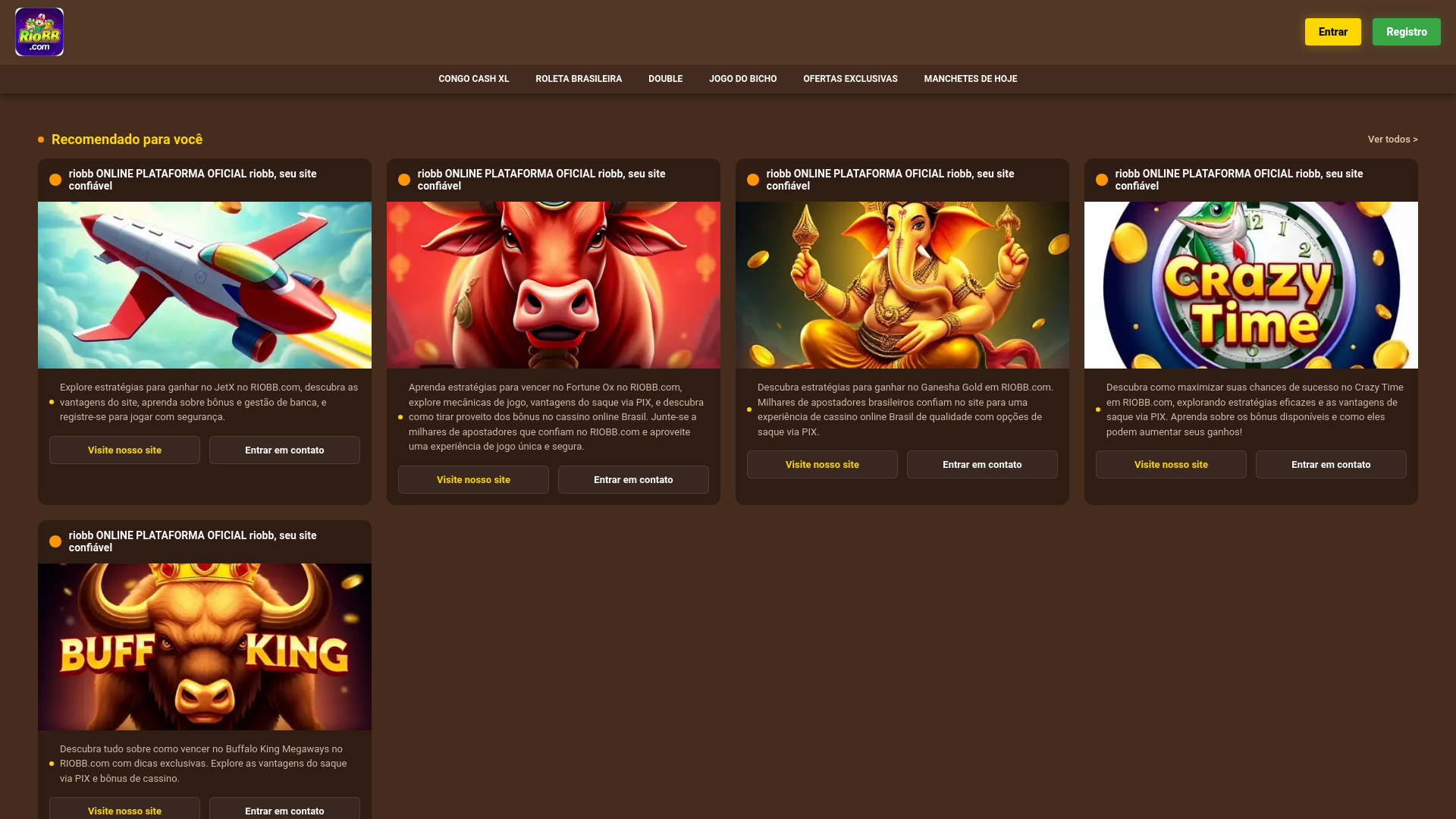 website screenshot of https://riobba.com/