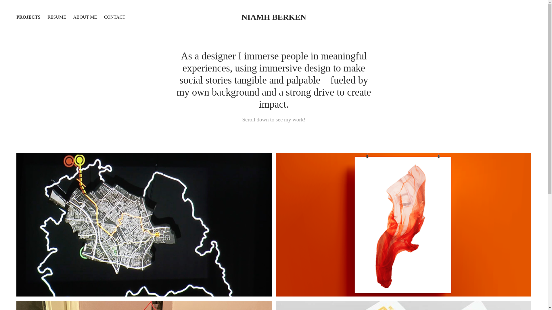website screenshot of https://niamhberken.nl/