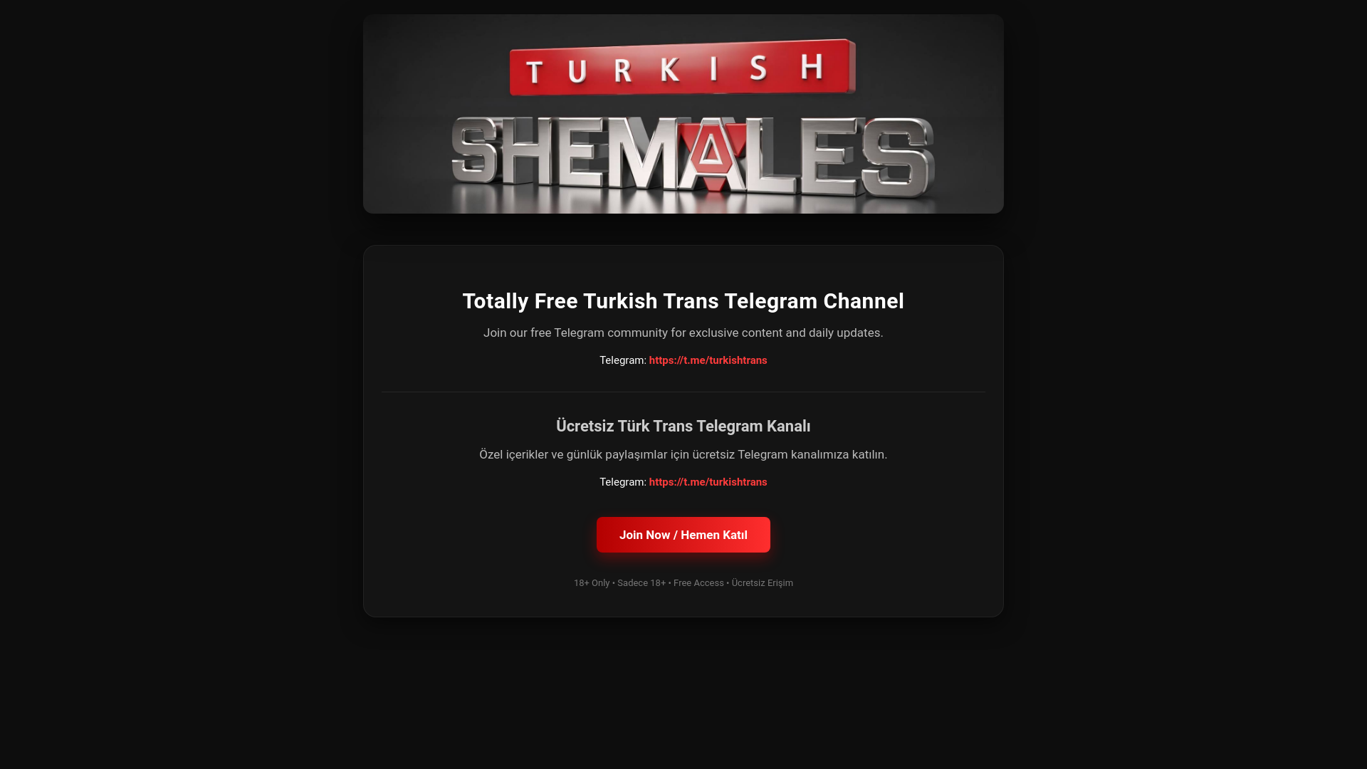 website screenshot of https://elittravesti.pages.dev/