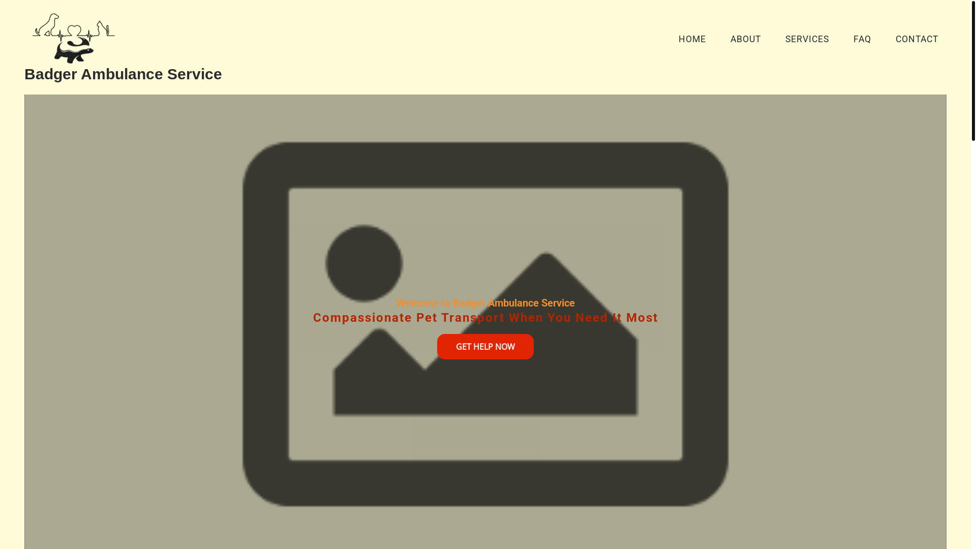 website screenshot of https://petambulance.org.za/