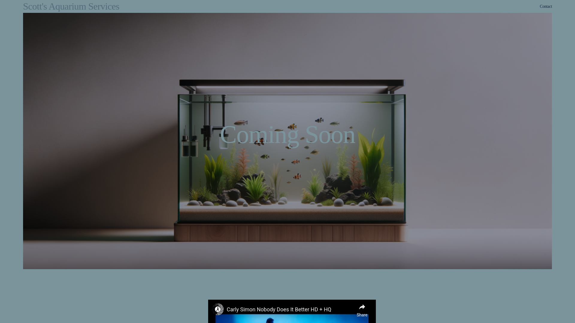 website screenshot of https://scottsaquariumservices.ca/