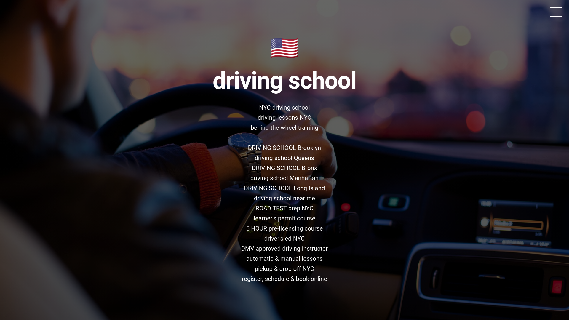website screenshot of https://drivingschool.company